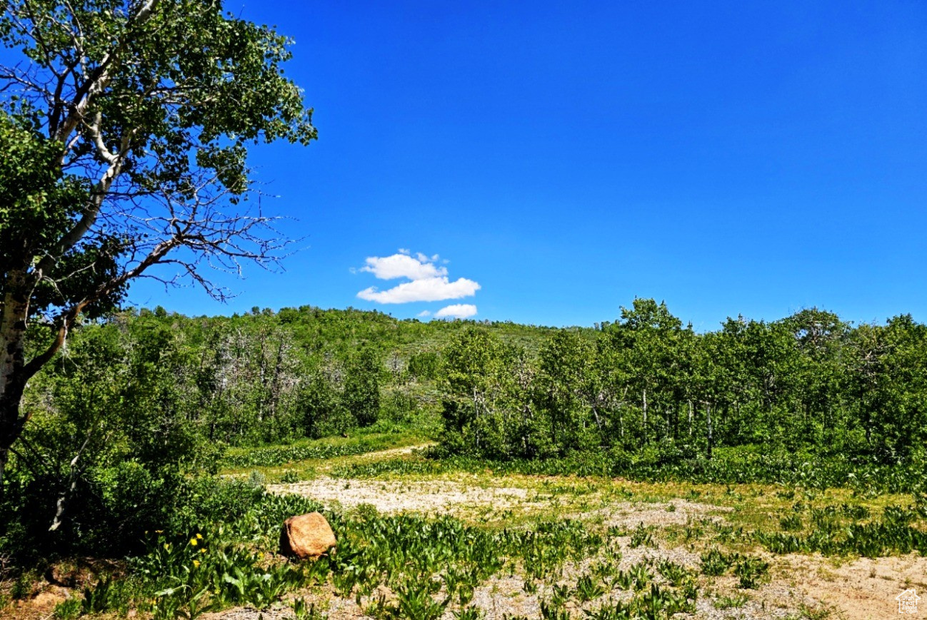 Middle Fork Rd, Huntsville, Utah image 6
