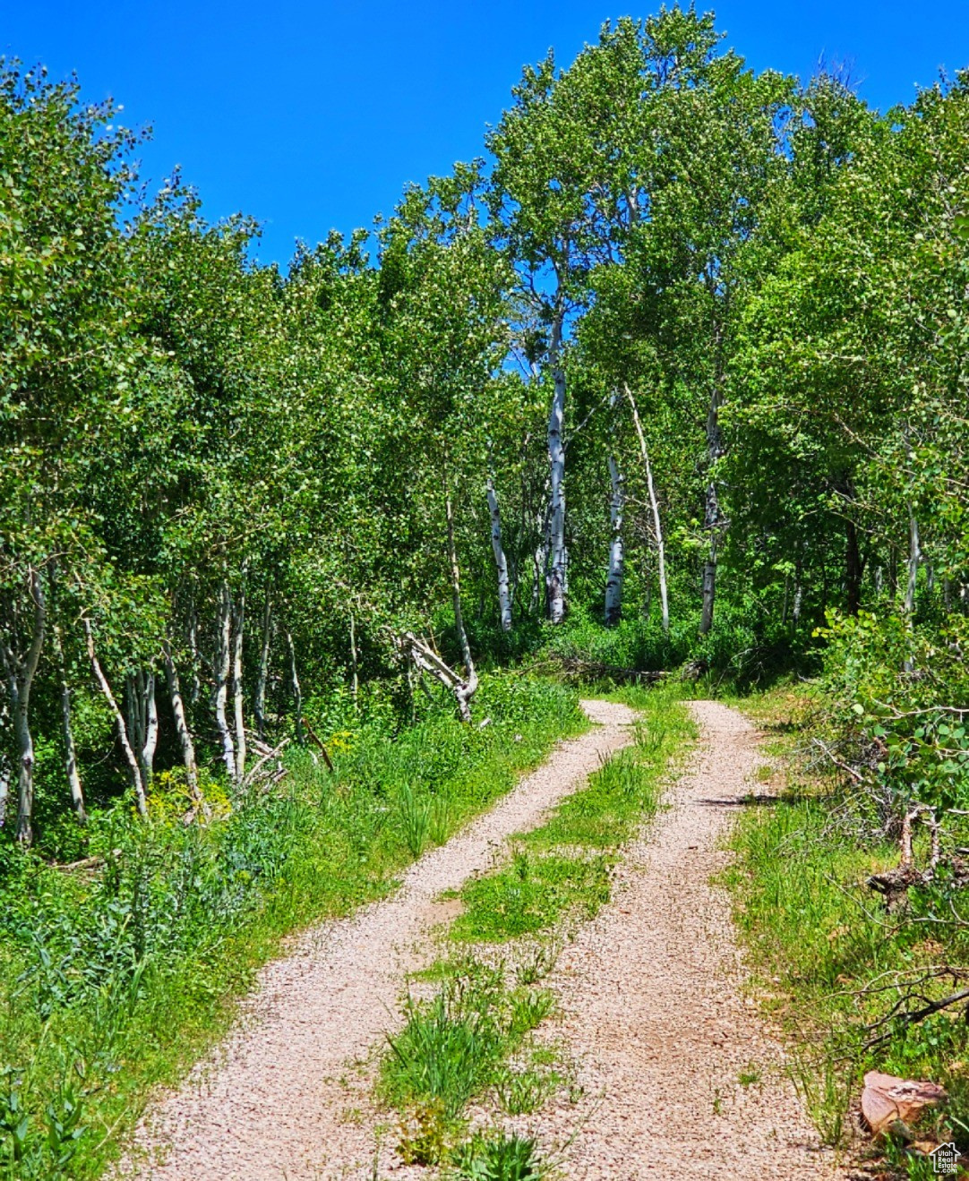 Middle Fork Rd, Huntsville, Utah image 20