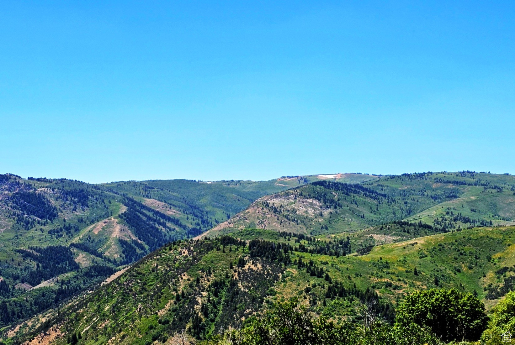 Middle Fork Rd, Huntsville, Utah image 10