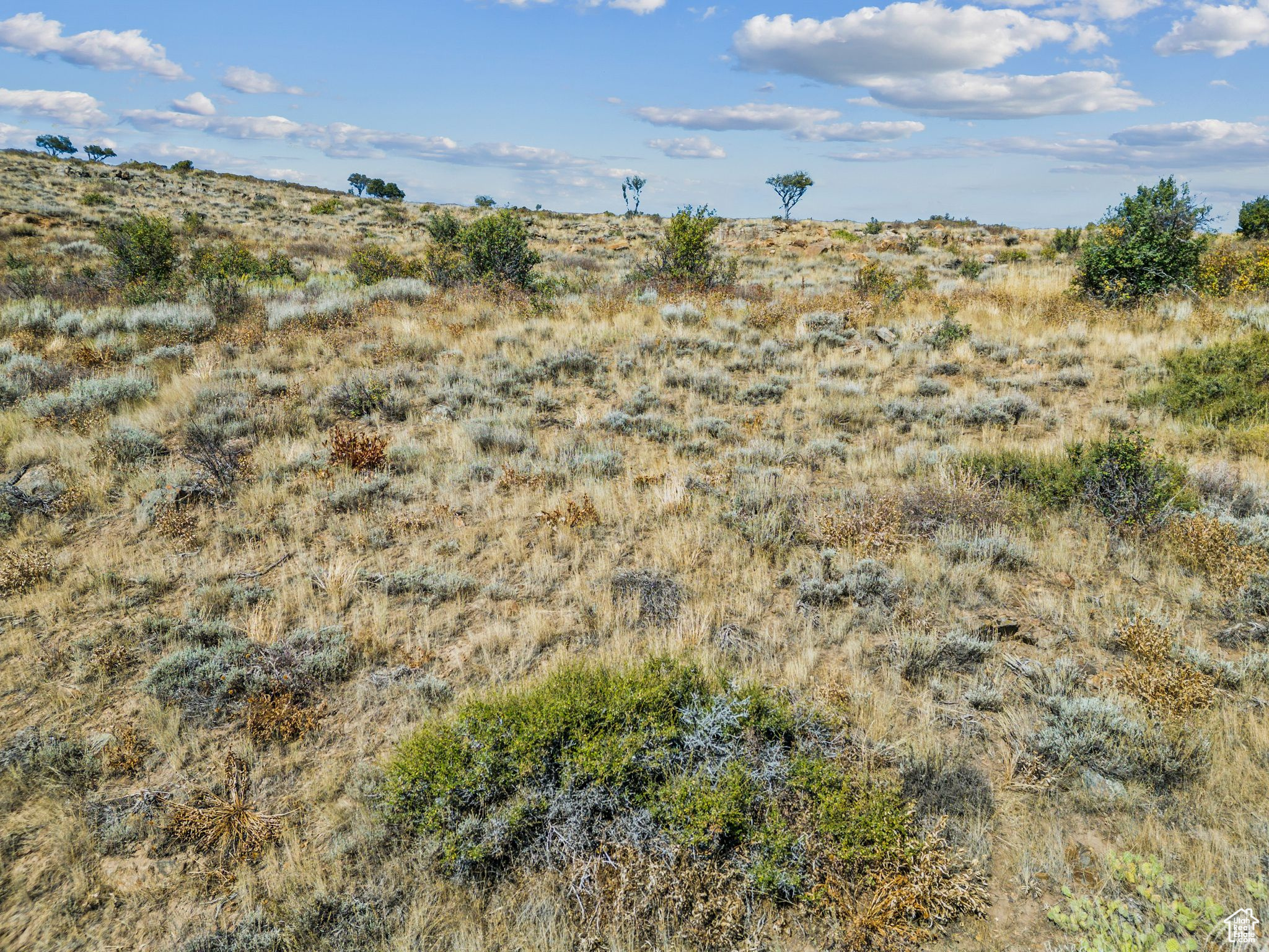 SWAN CREEK E - Land