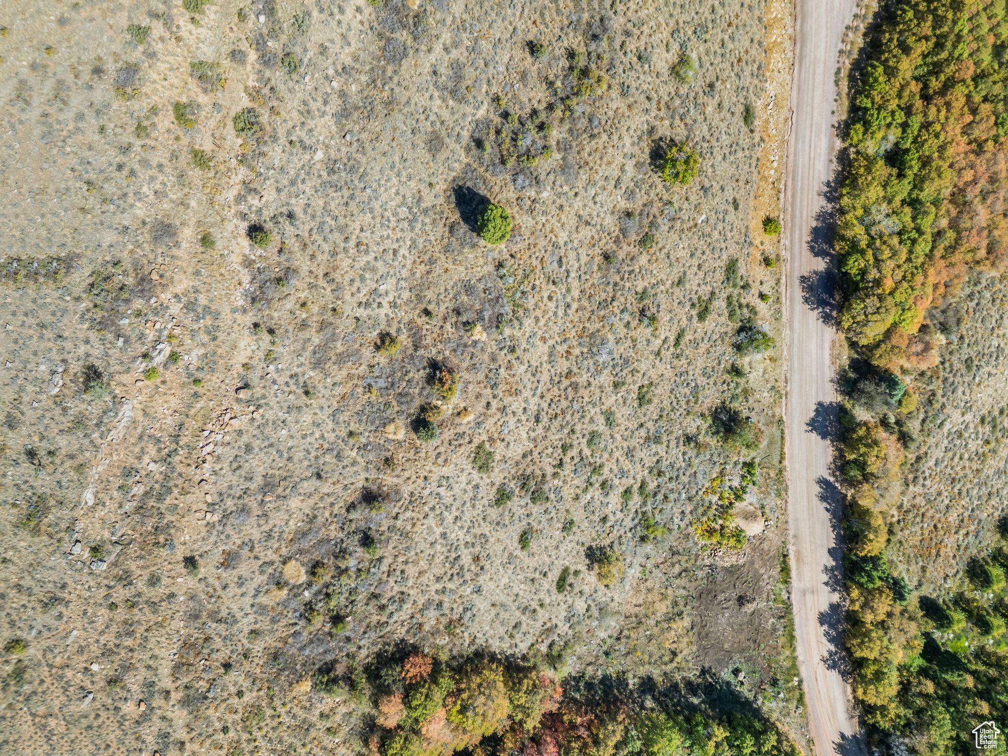 SWAN CREEK E - Land