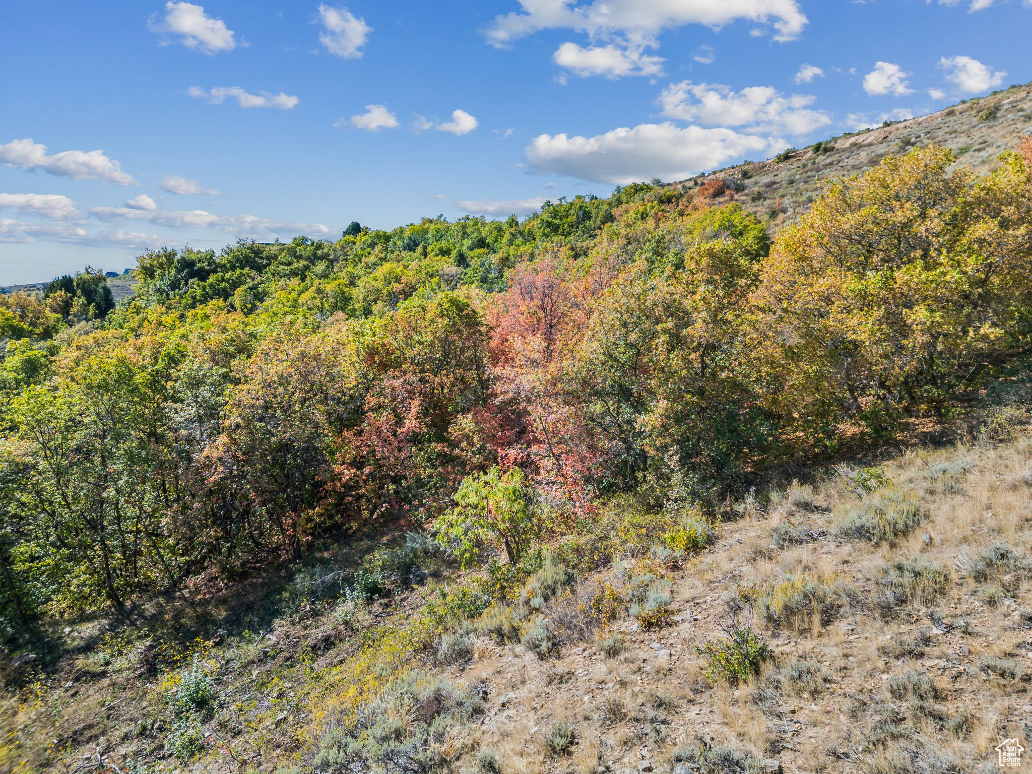 SWAN CREEK E - Land