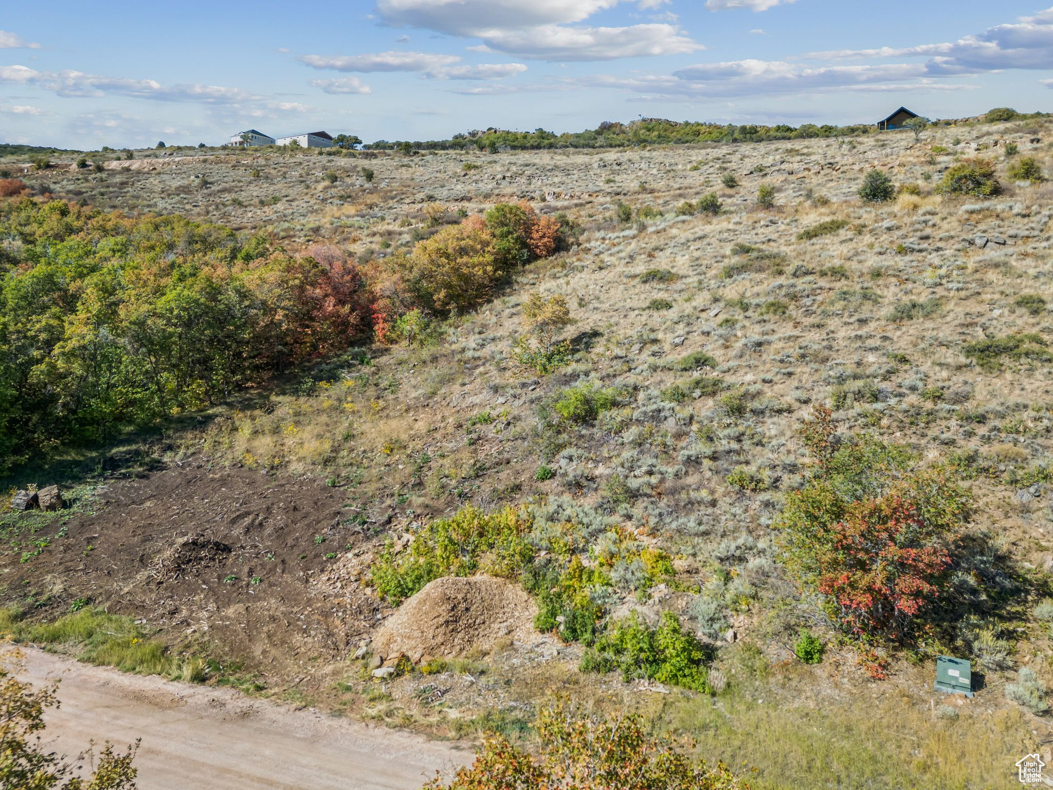 SWAN CREEK E - Land