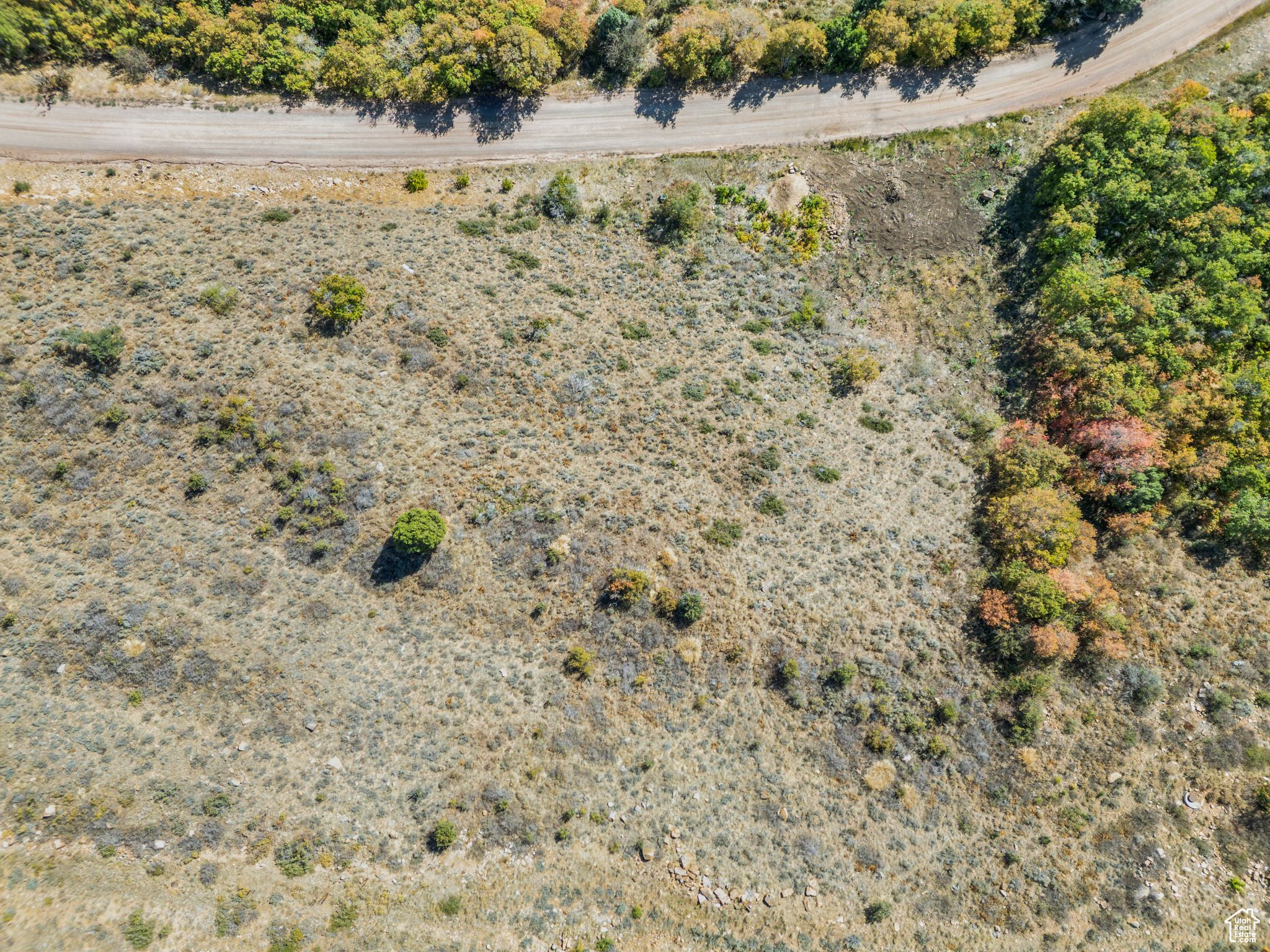 SWAN CREEK E - Land