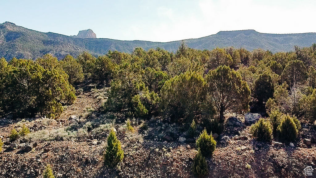 KOLOB RANCH ESTATE - Land