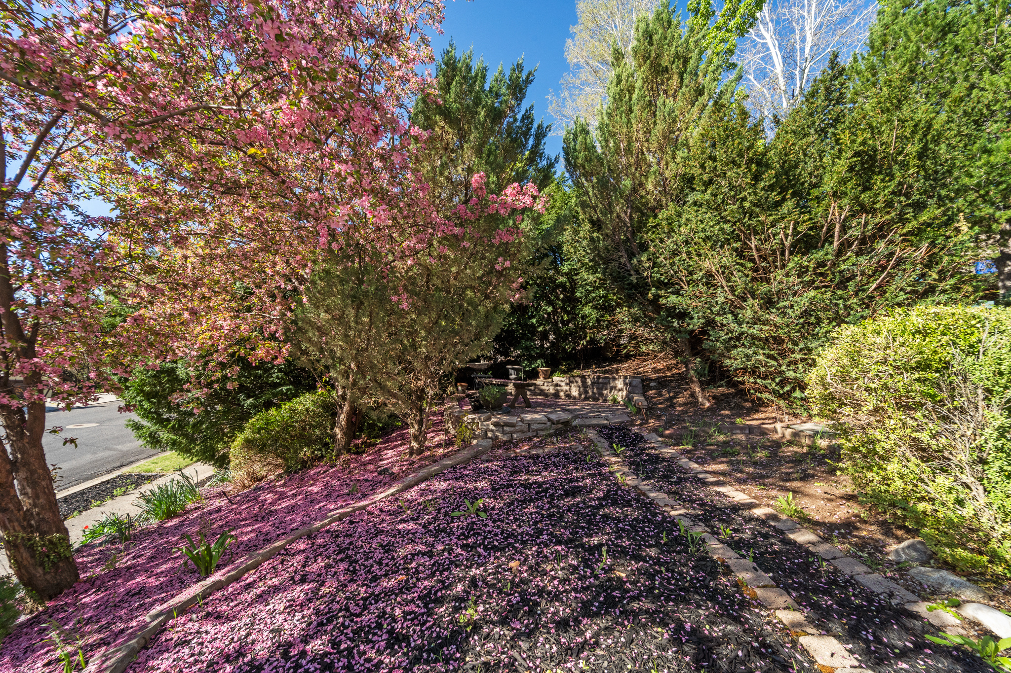 OAKRIDGE VILLIAGE - Residential