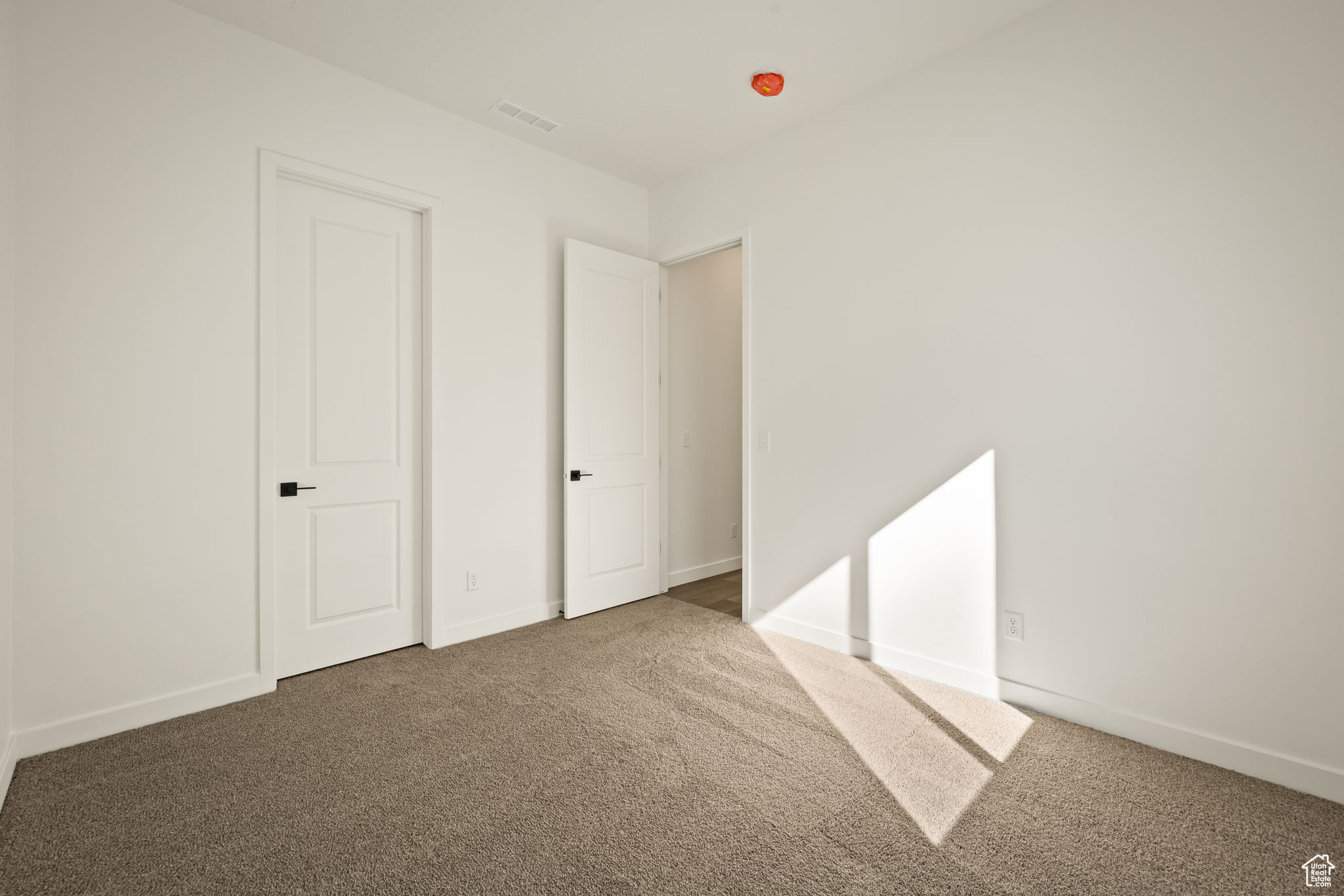 SPRINGS VILLAGE AT WANDER - Residential