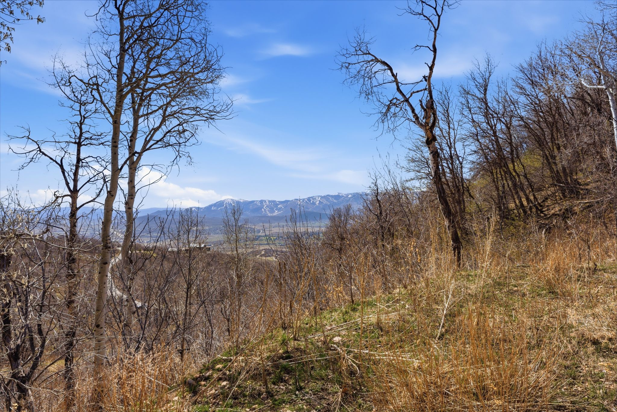 STAGECOACH ESTATES - Land