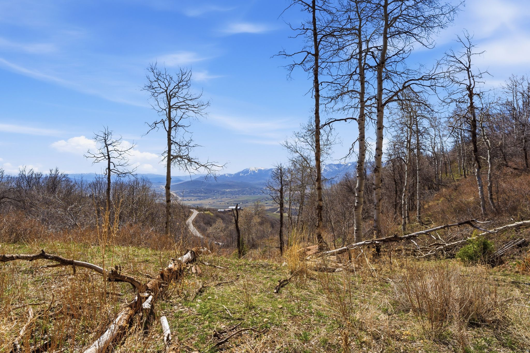 STAGECOACH ESTATES - Land