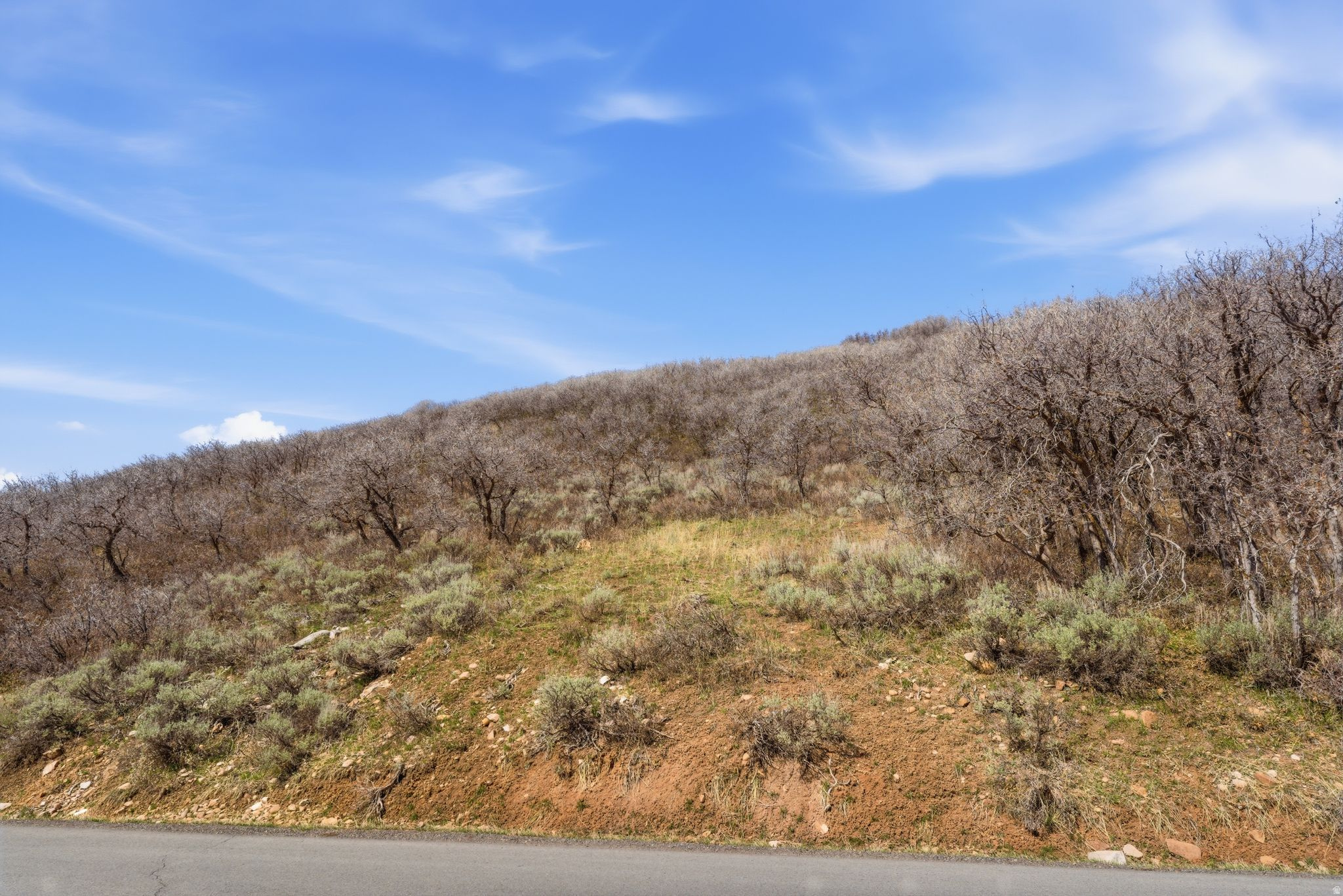 STAGECOACH ESTATES - Land