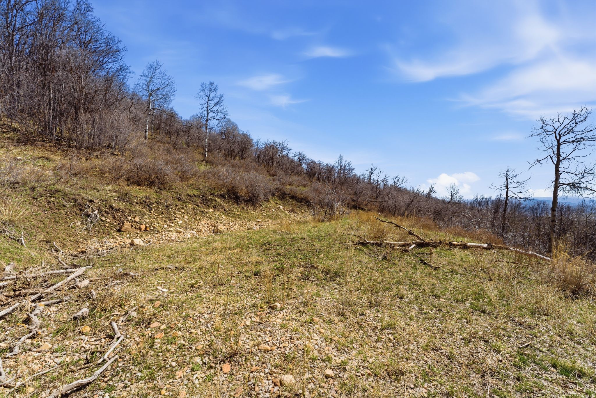 STAGECOACH ESTATES - Land