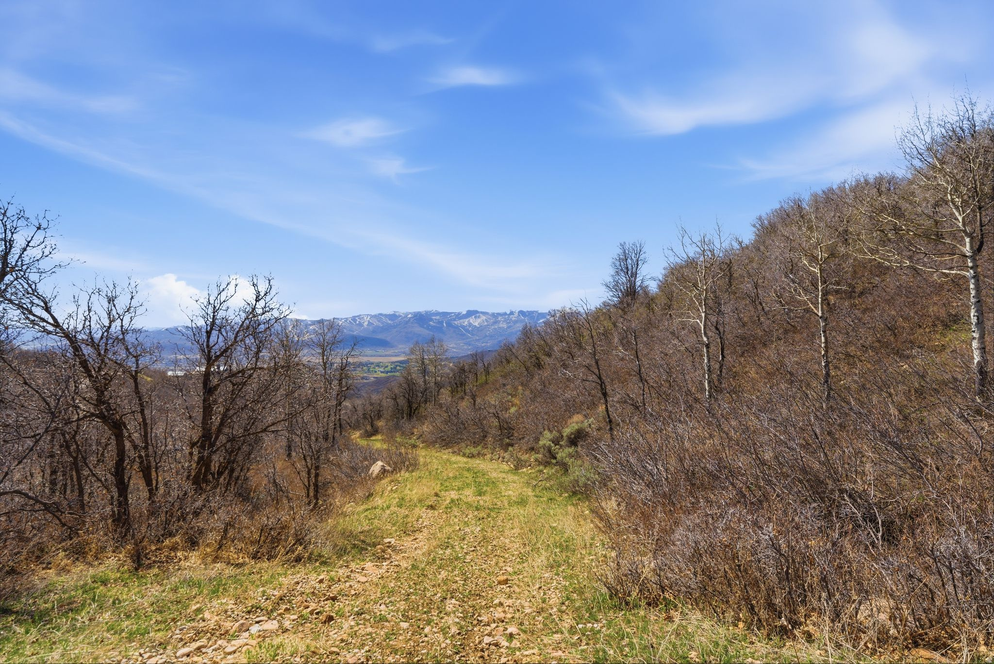 STAGECOACH ESTATES - Land