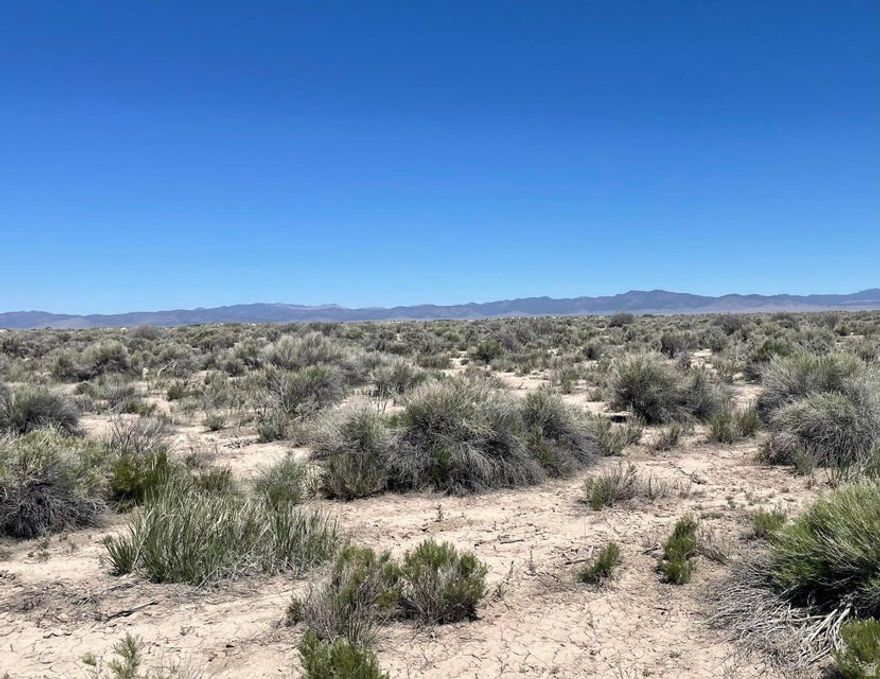 Two adjacent subdivided lots in Garden Valley Ranchos totaling more than 4 Acres. Flat, sage brush, with power nearby.