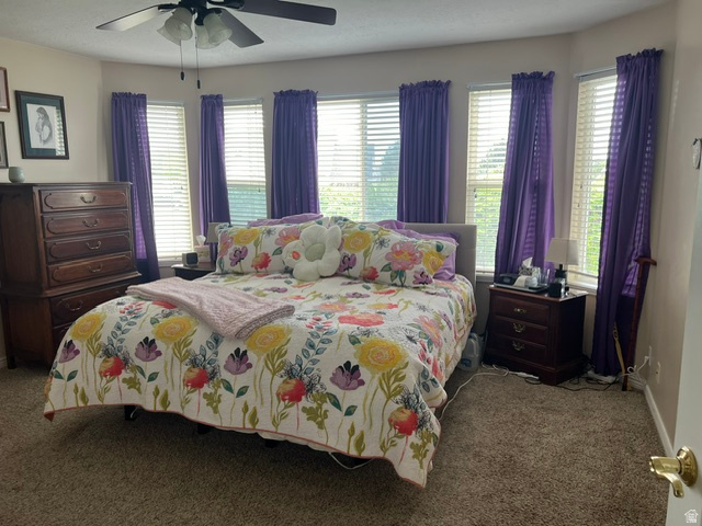 WILLOW BEND - Residential