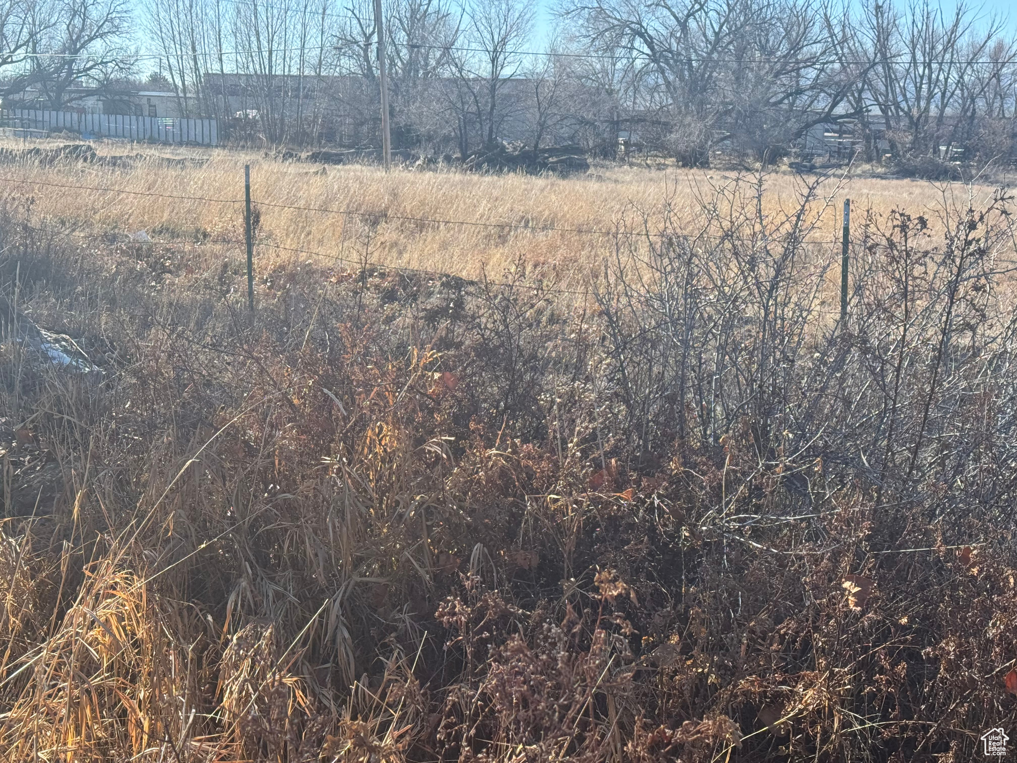 235 N 200, Ephraim, Utah image 3