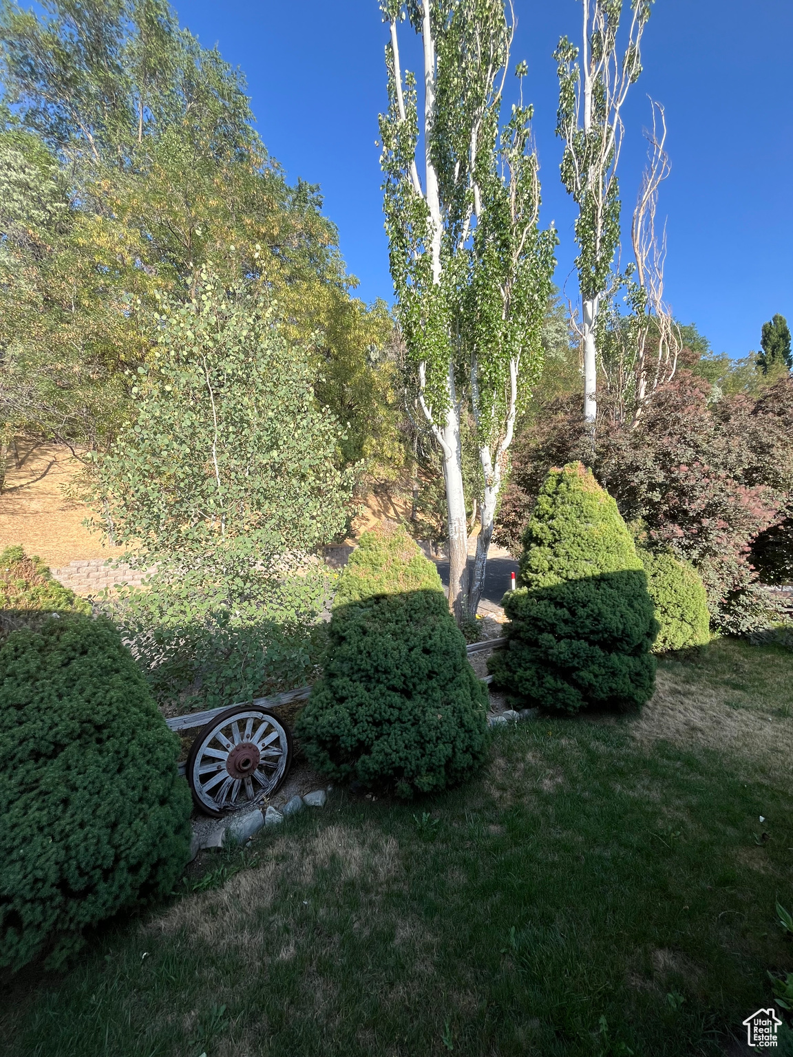 TIMPANOGOS VILLAGE - Residential