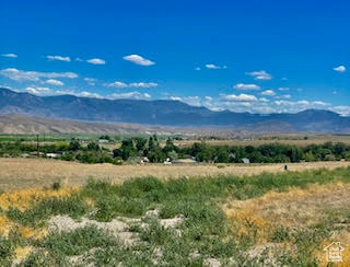 #16, Marysvale, Utah image 5