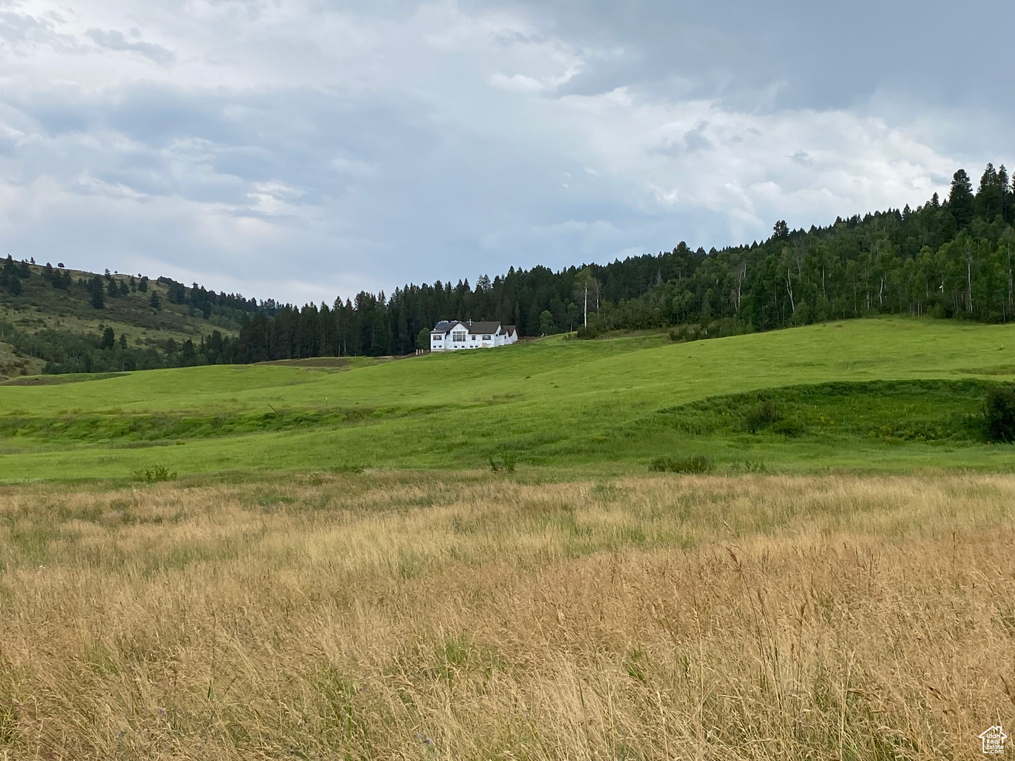 BLOCK 2 GROUSE CREEK - Land