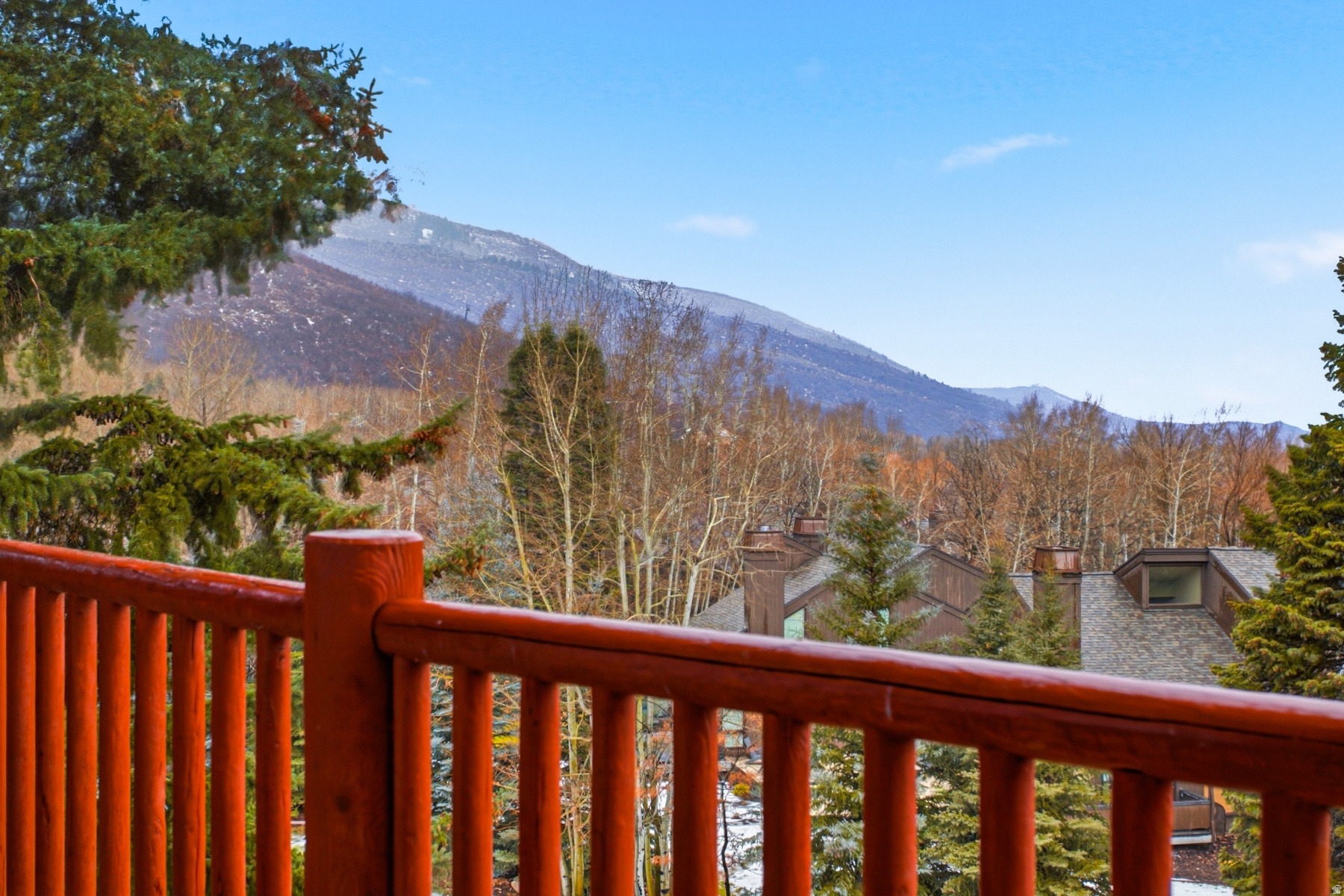 SNOW FLOWER - Residential