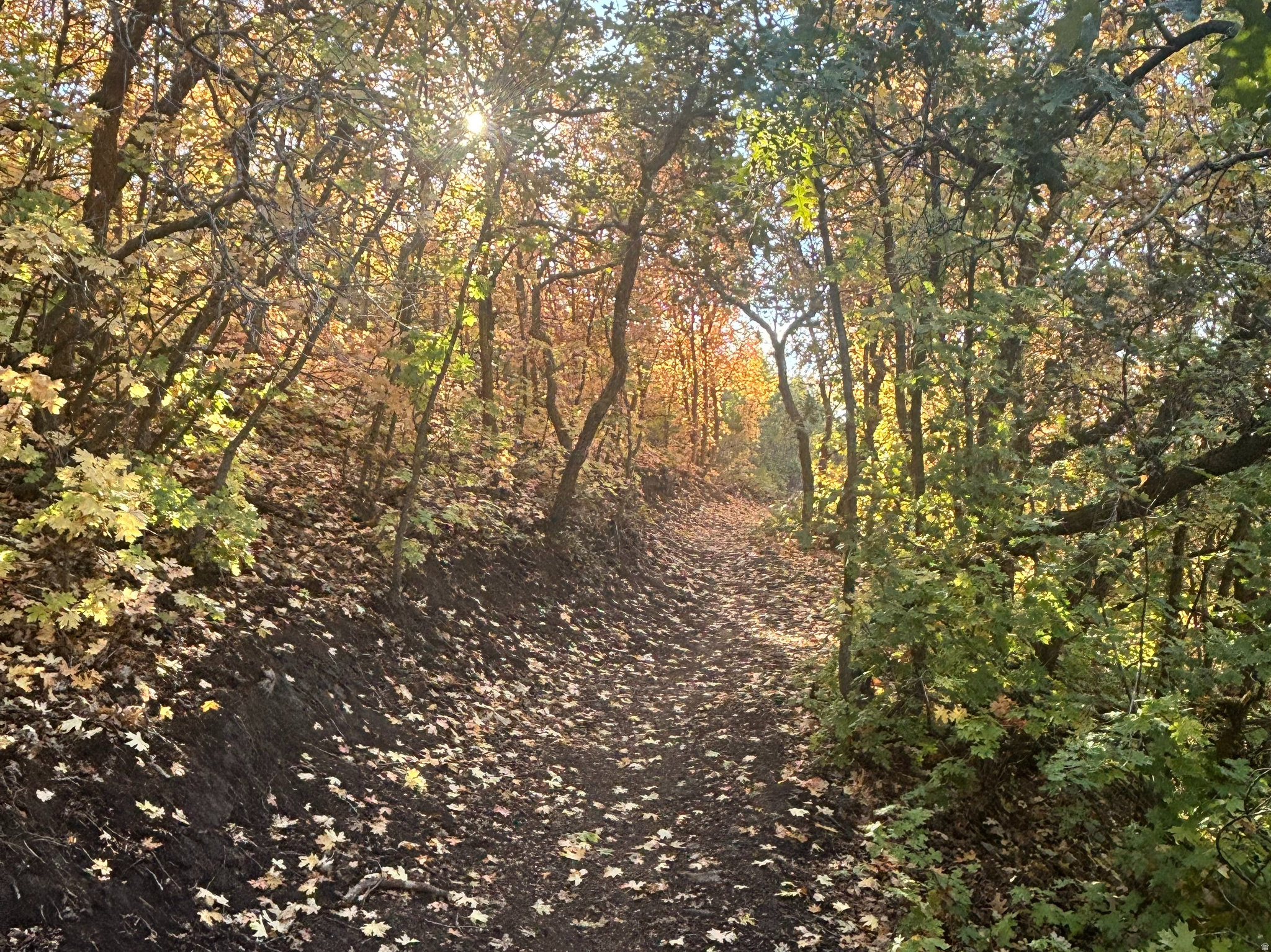 THE COVE AT LITTLE VALLEY - Residential