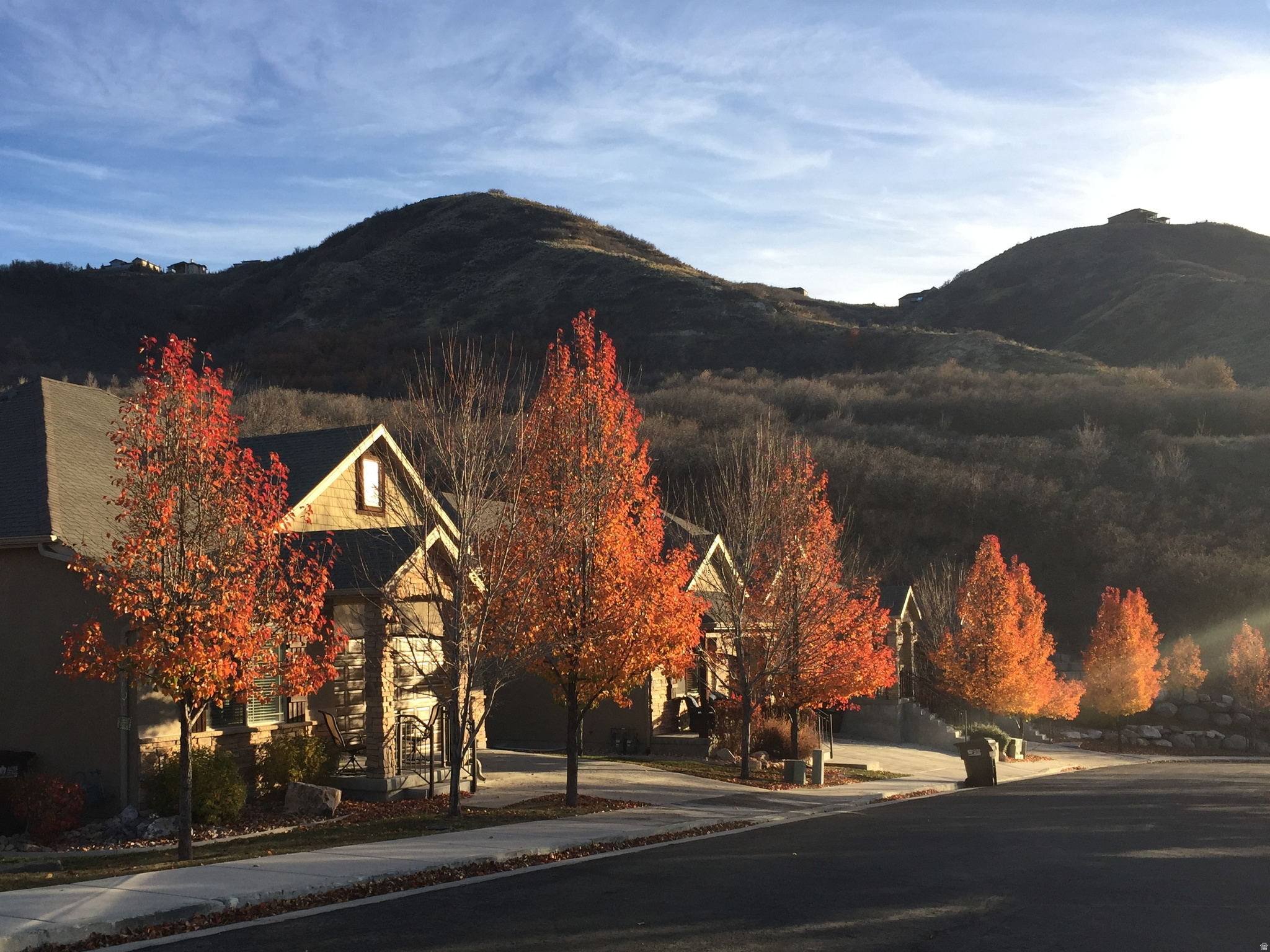 THE COVE AT LITTLE VALLEY - Residential