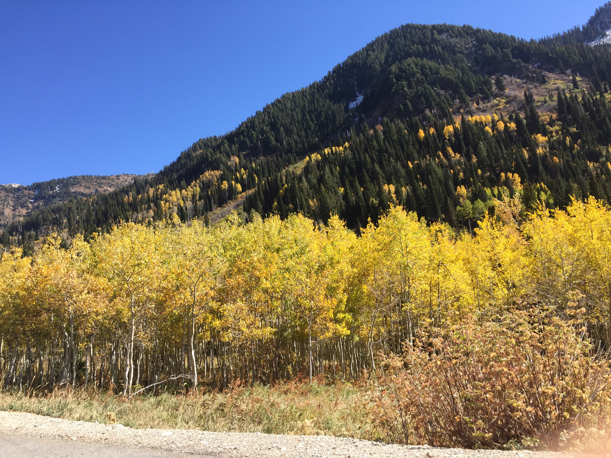 THE COVE AT LITTLE VALLEY - Residential