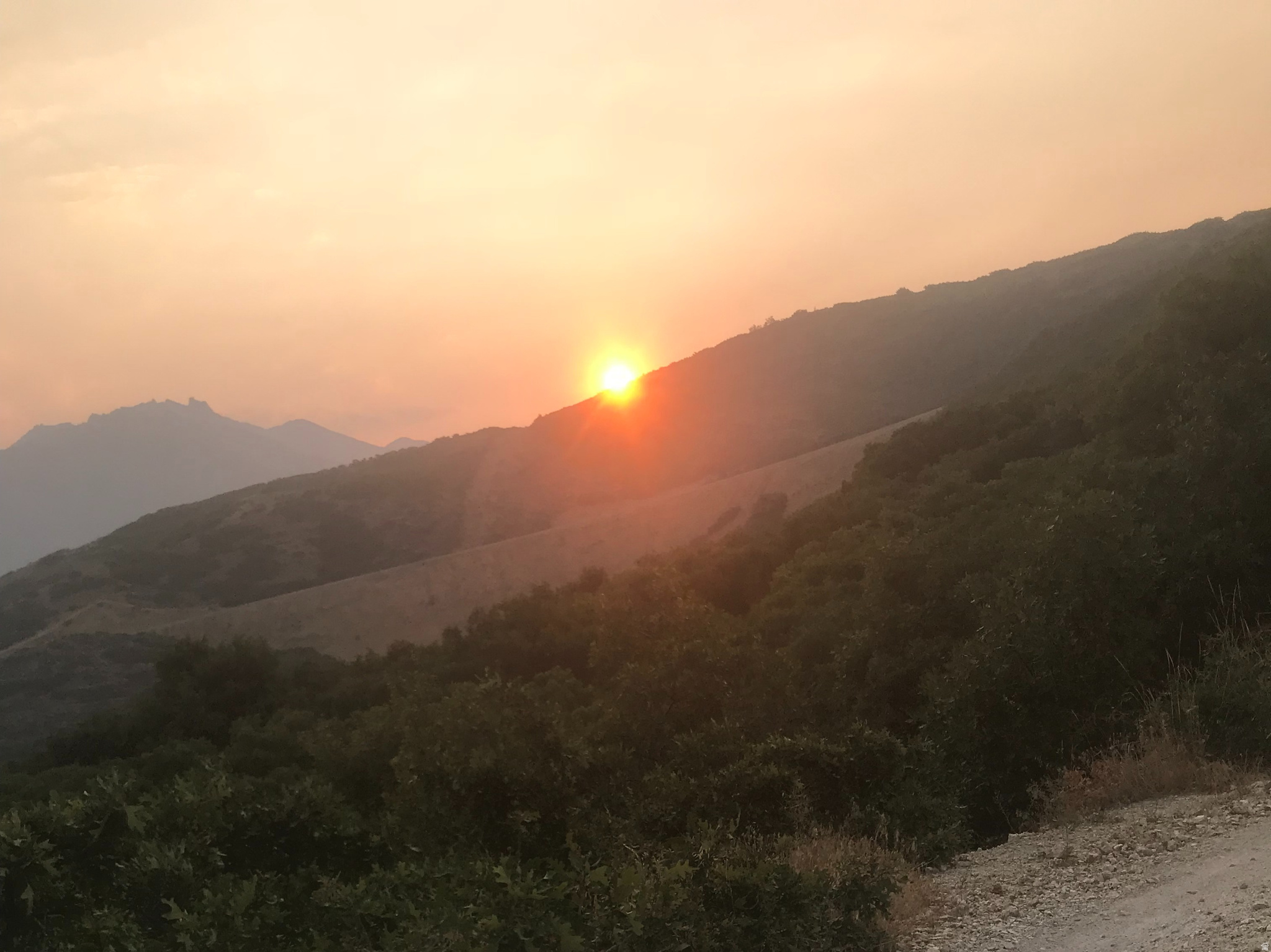 THE COVE AT LITTLE VALLEY - Residential