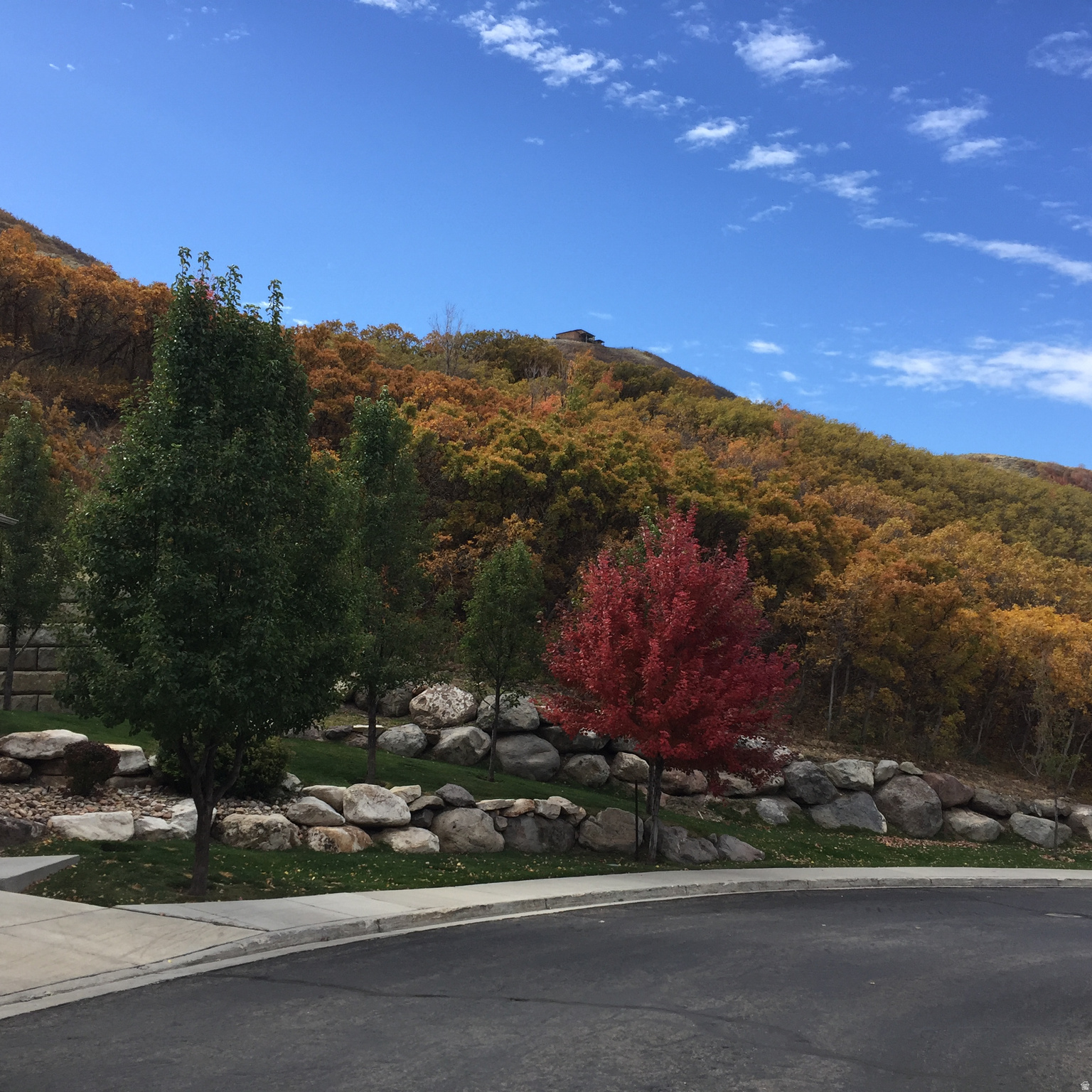 THE COVE AT LITTLE VALLEY - Residential