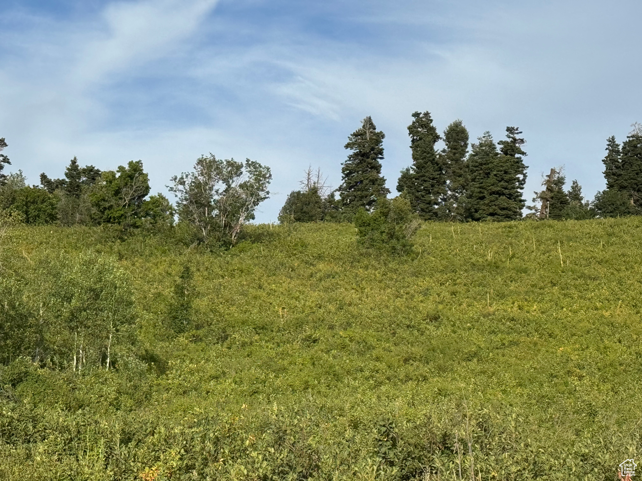 SKYLINE MOUNTAIN RES - Land
