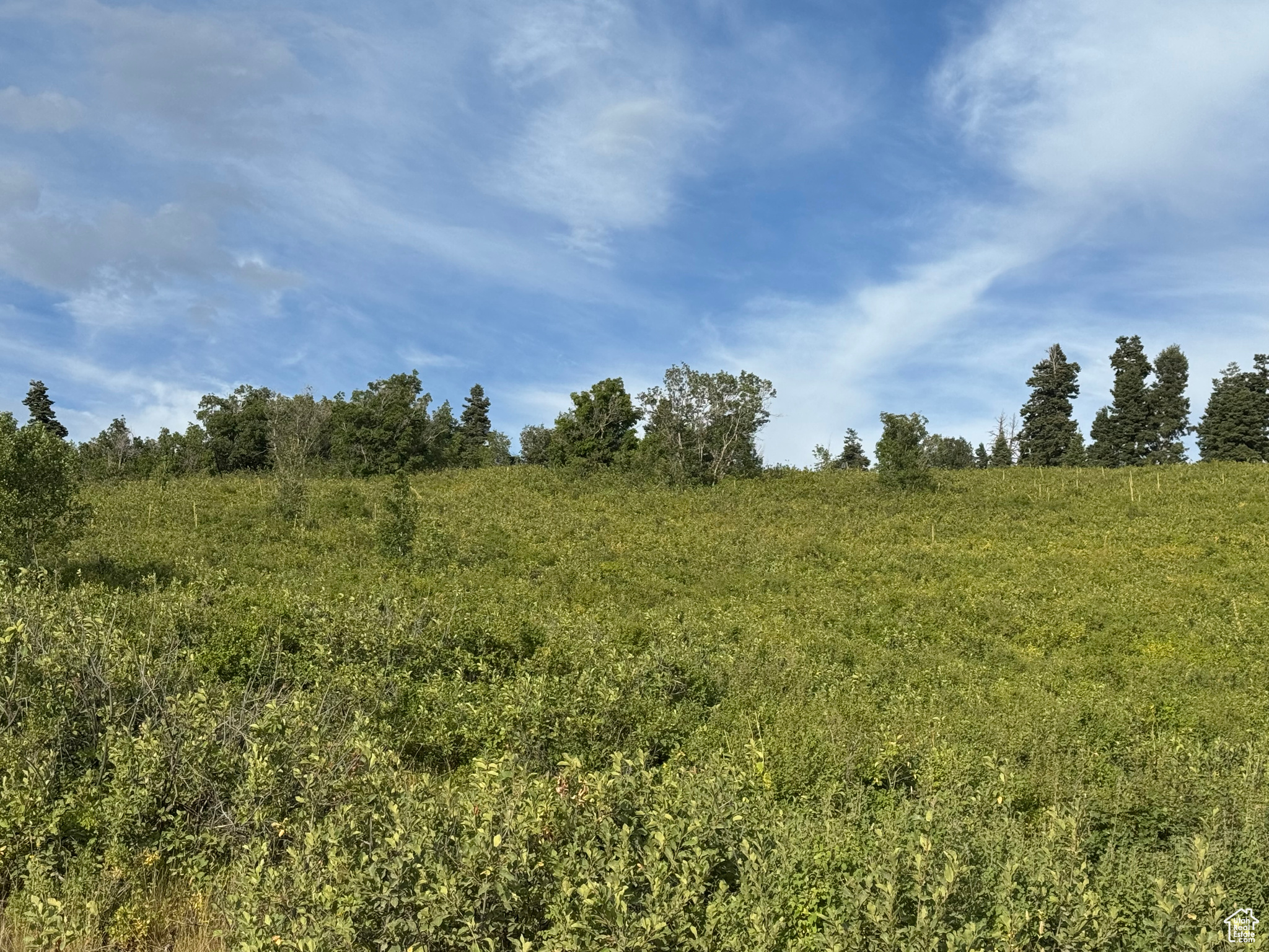 SKYLINE MOUNTAIN RES - Land