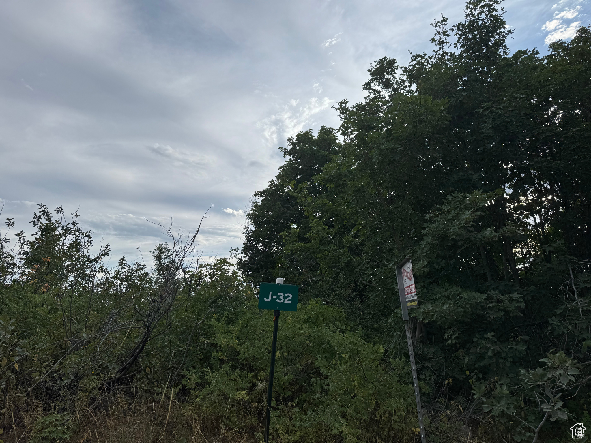 SKYLINE MOUNTAIN RES - Land