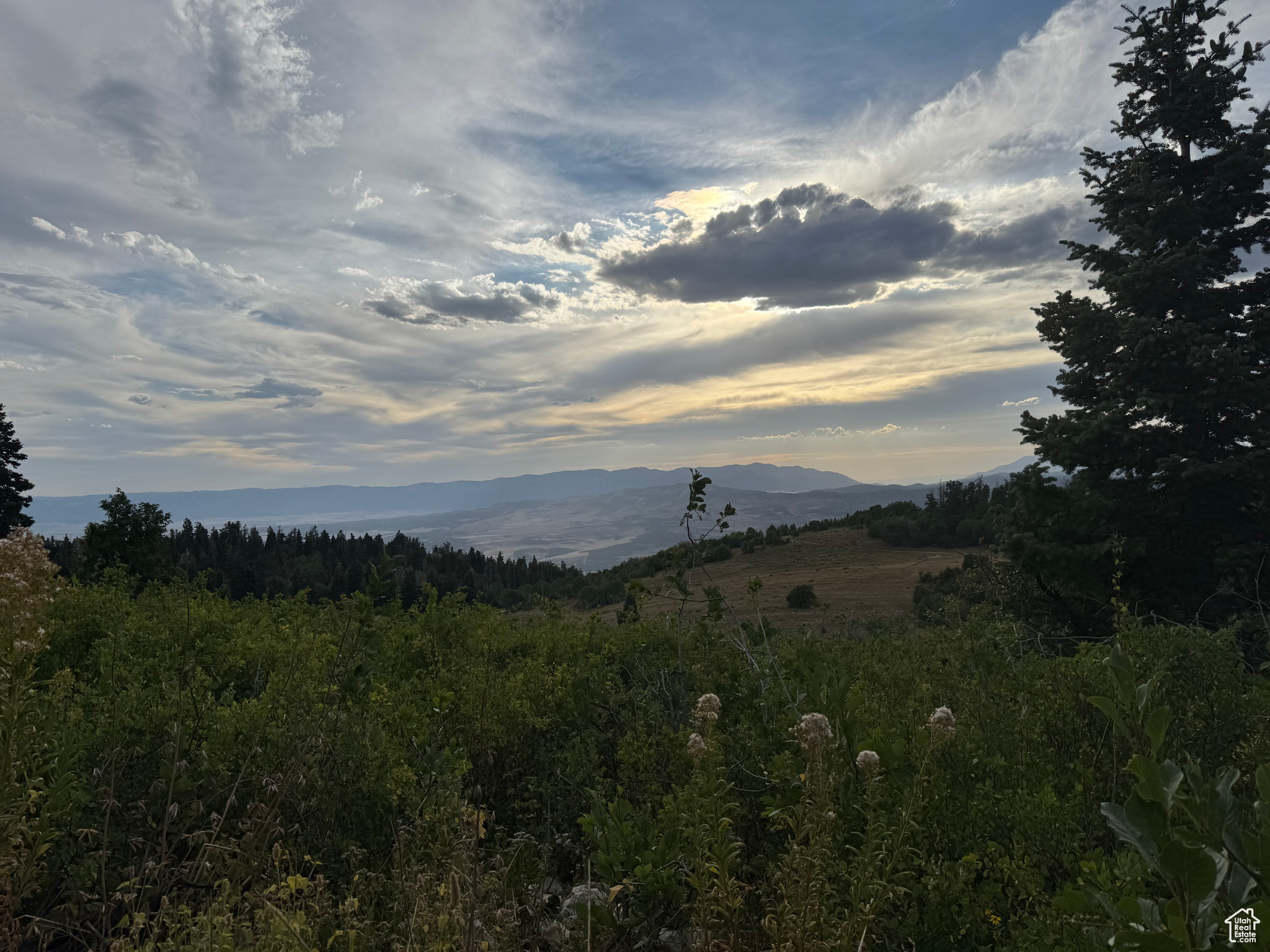 SKYLINE MOUNTAIN RES - Land