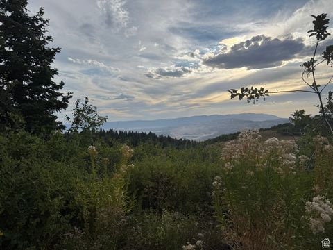 Vacant Land For Sale - 32 J Chokecherry Dr #J-32<br/> Fairview, UT 84629