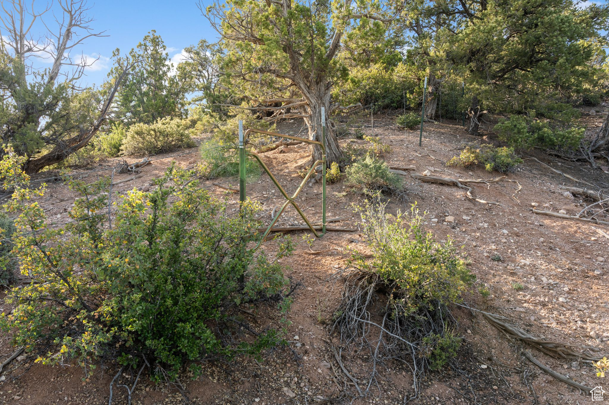 20 Acres, New Harmony, Utah image 7