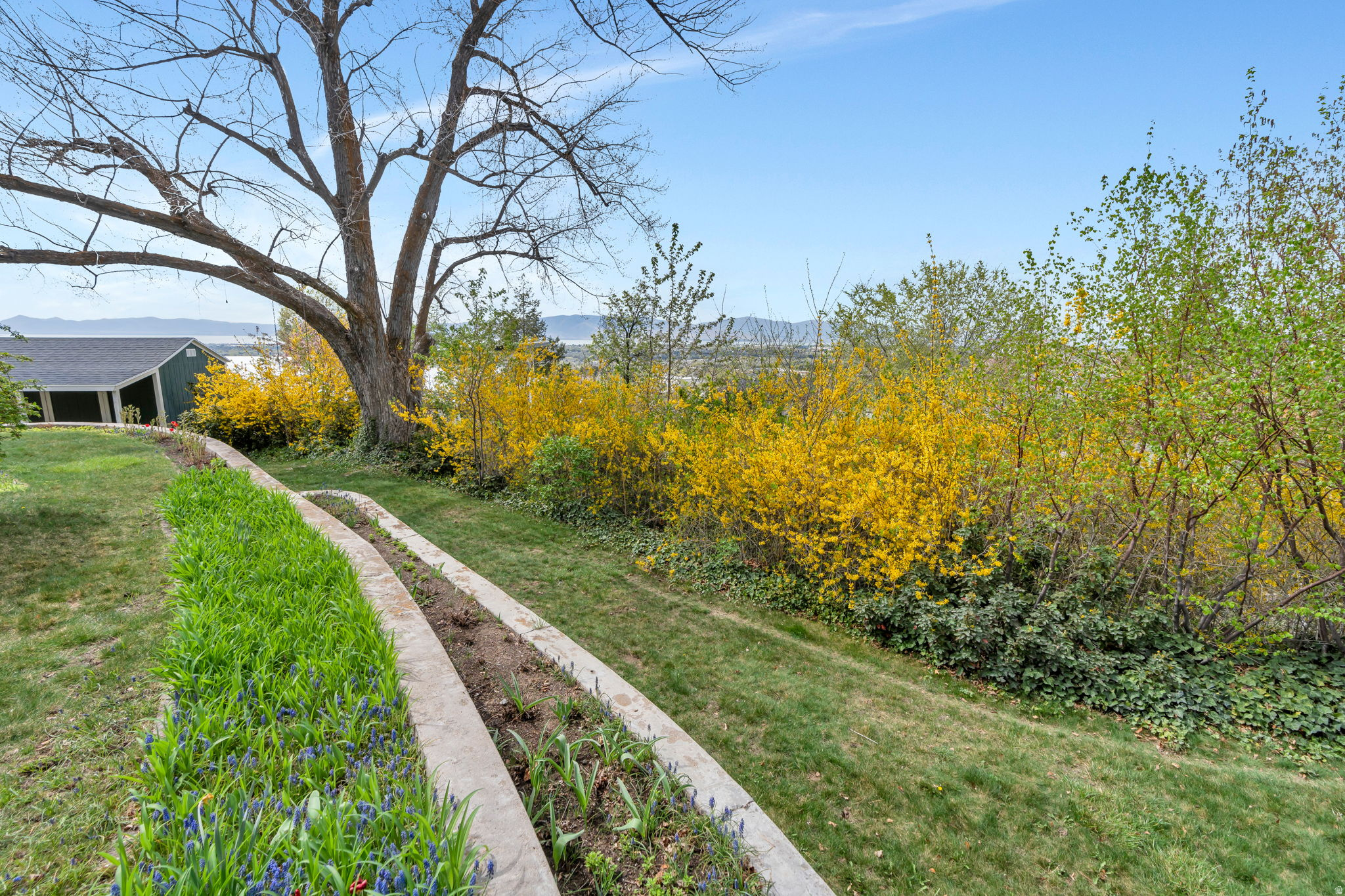 OAK HILLS - Residential