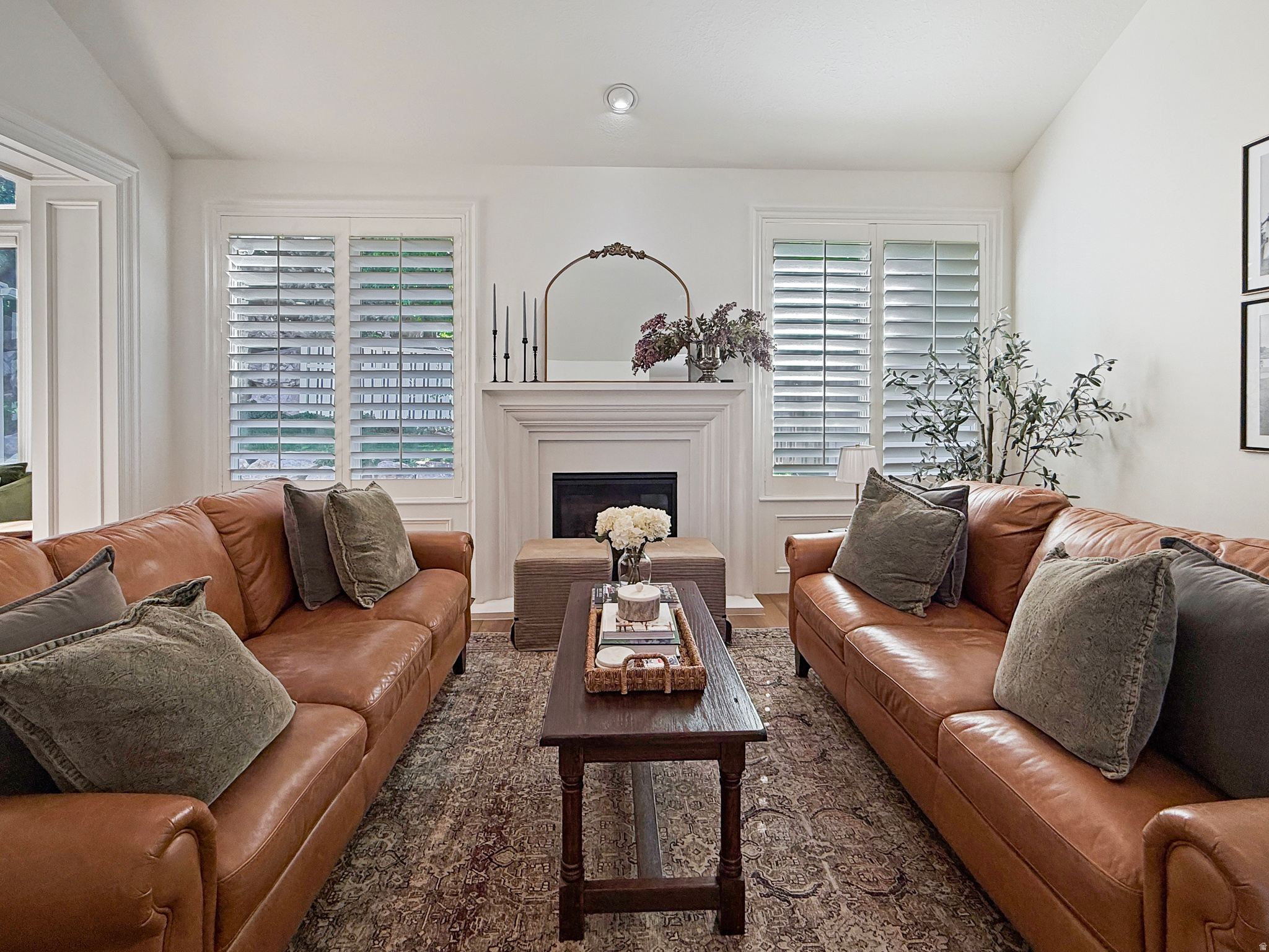 WILLOW SPRINGS - Residential
