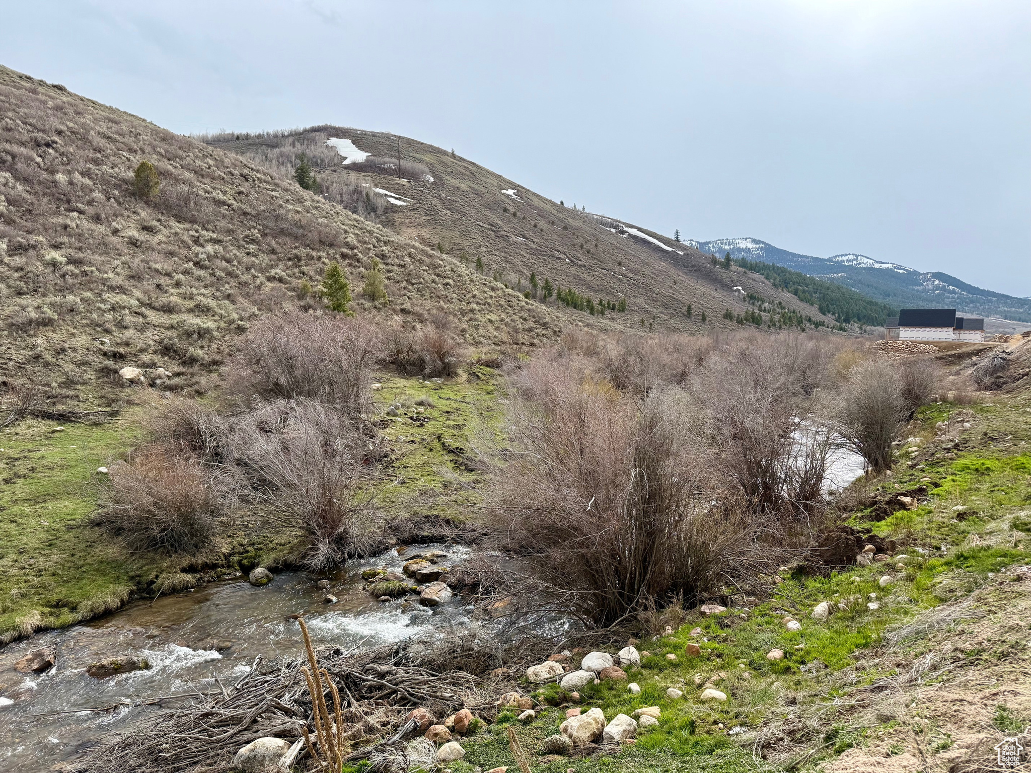 BLOOMINGTON HOLLOW RANCHS - Land