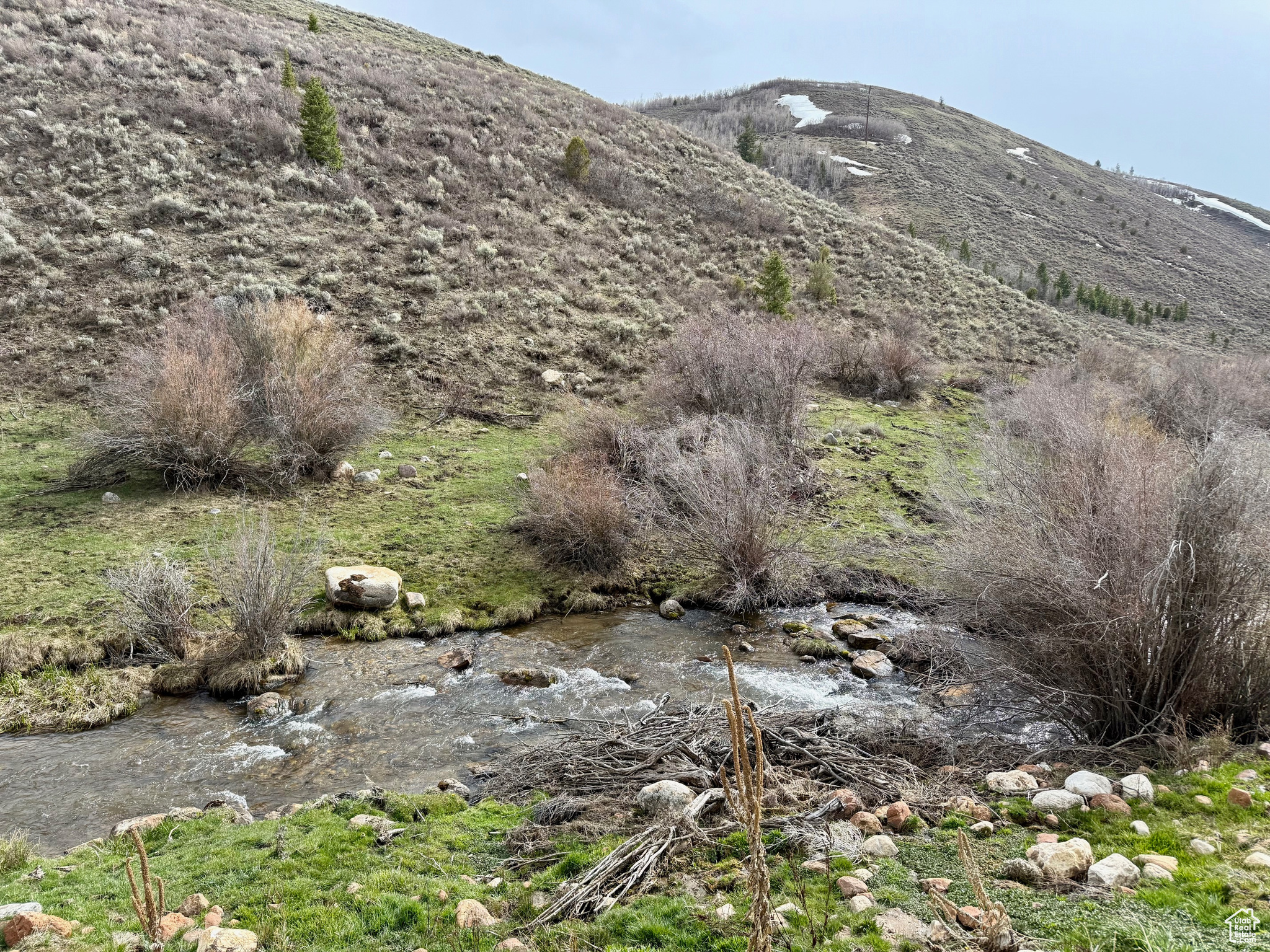 BLOOMINGTON HOLLOW RANCHS - Land