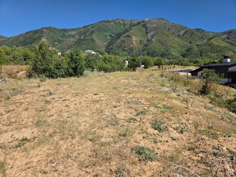 Tiny photo for 925 S NORTH VIEW CIR, Woodland Hills, UT 84653 (MLS # 2103079)
