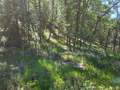 Tiny photo for 925 S NORTH VIEW CIR, Woodland Hills, UT 84653 (MLS # 2103079)