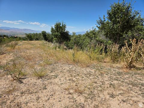 Tiny photo for 925 S NORTH VIEW CIR, Woodland Hills, UT 84653 (MLS # 2103079)