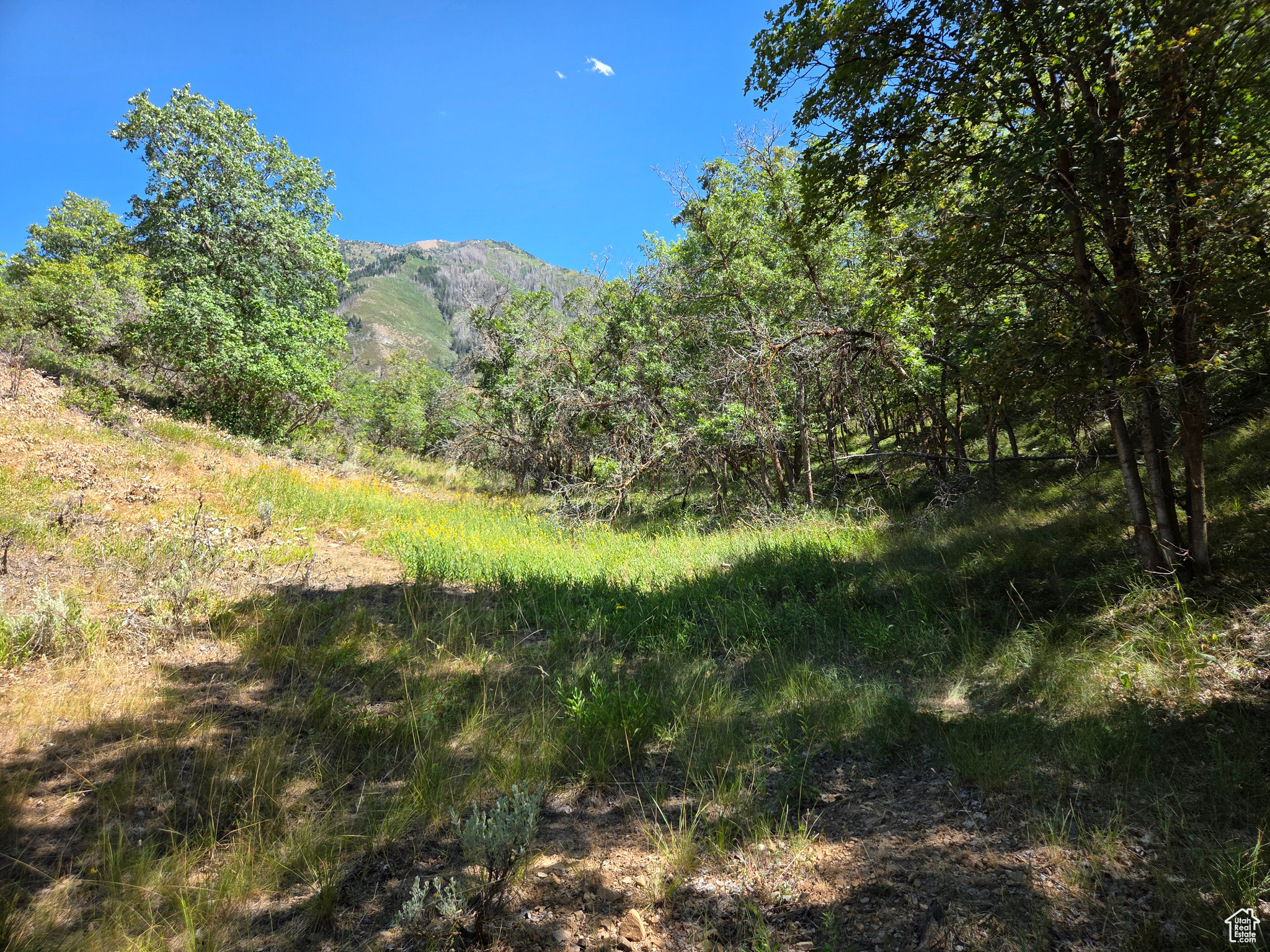 MOUNTAIN OAK ESTATES - Land