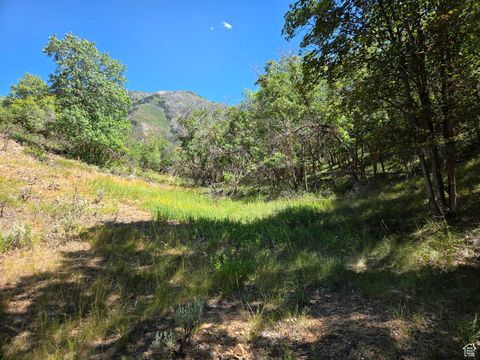 Tiny photo for 925 S NORTH VIEW CIR, Woodland Hills, UT 84653 (MLS # 2103079)