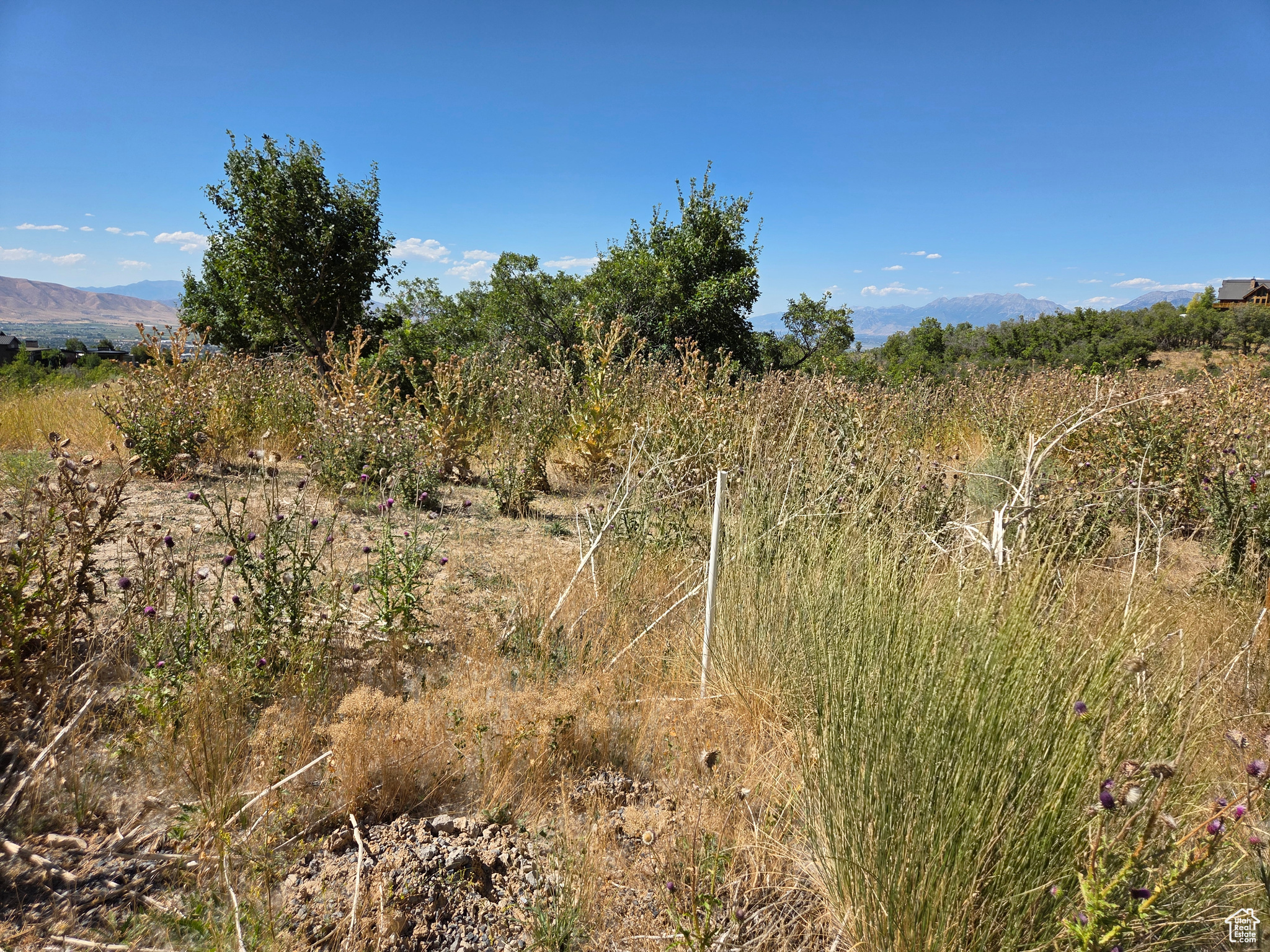 MOUNTAIN OAK ESTATES - Land