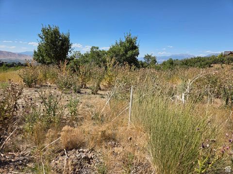 Tiny photo for 925 S NORTH VIEW CIR, Woodland Hills, UT 84653 (MLS # 2103079)