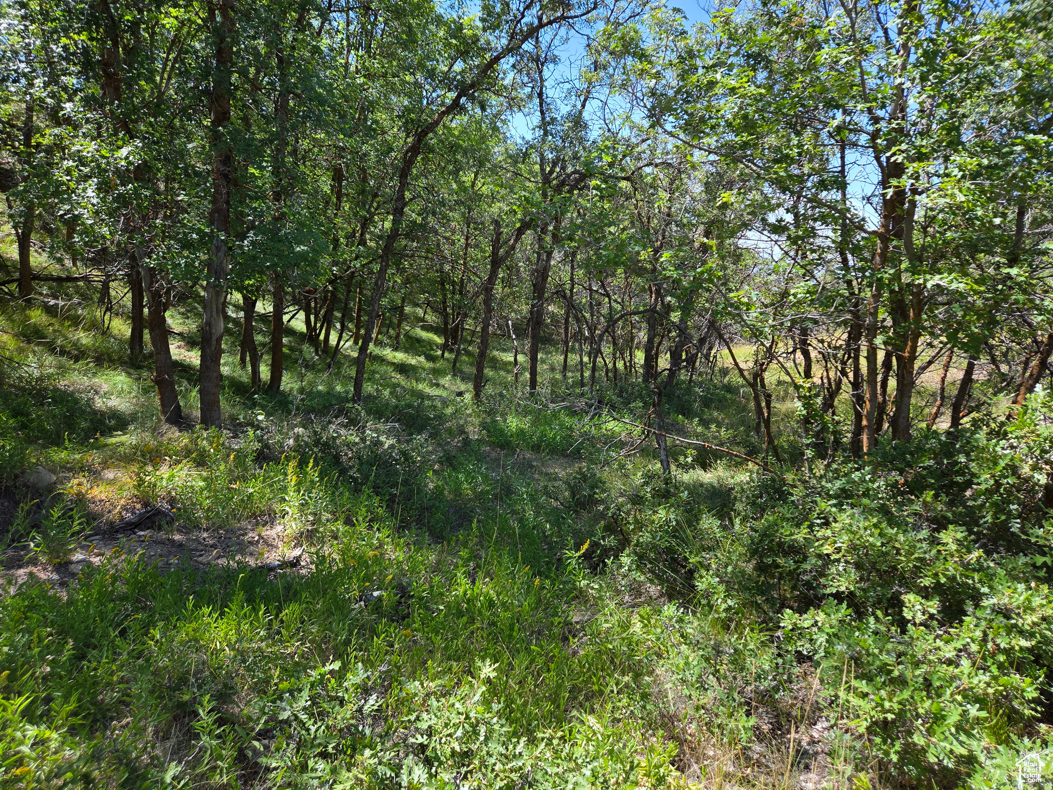 MOUNTAIN OAK ESTATES - Land