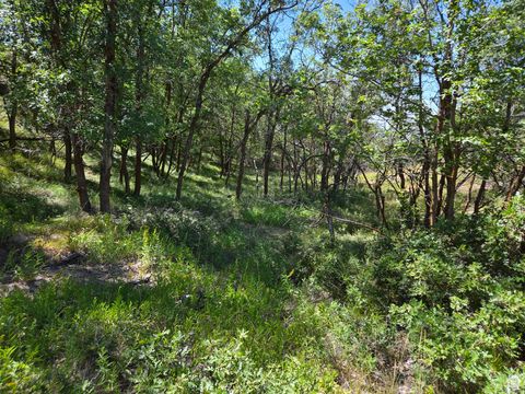 Tiny photo for 925 S NORTH VIEW CIR, Woodland Hills, UT 84653 (MLS # 2103079)