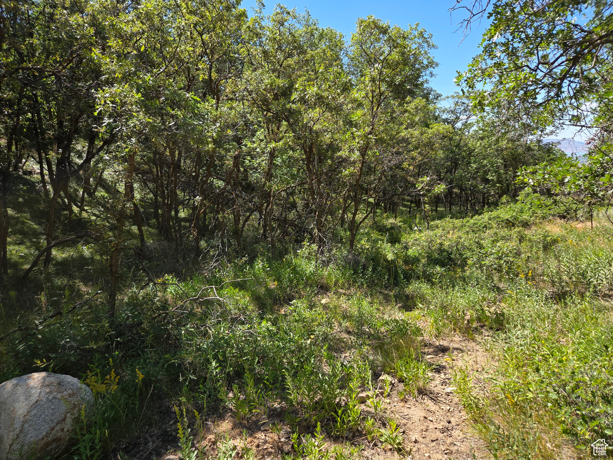 MOUNTAIN OAK ESTATES - Land