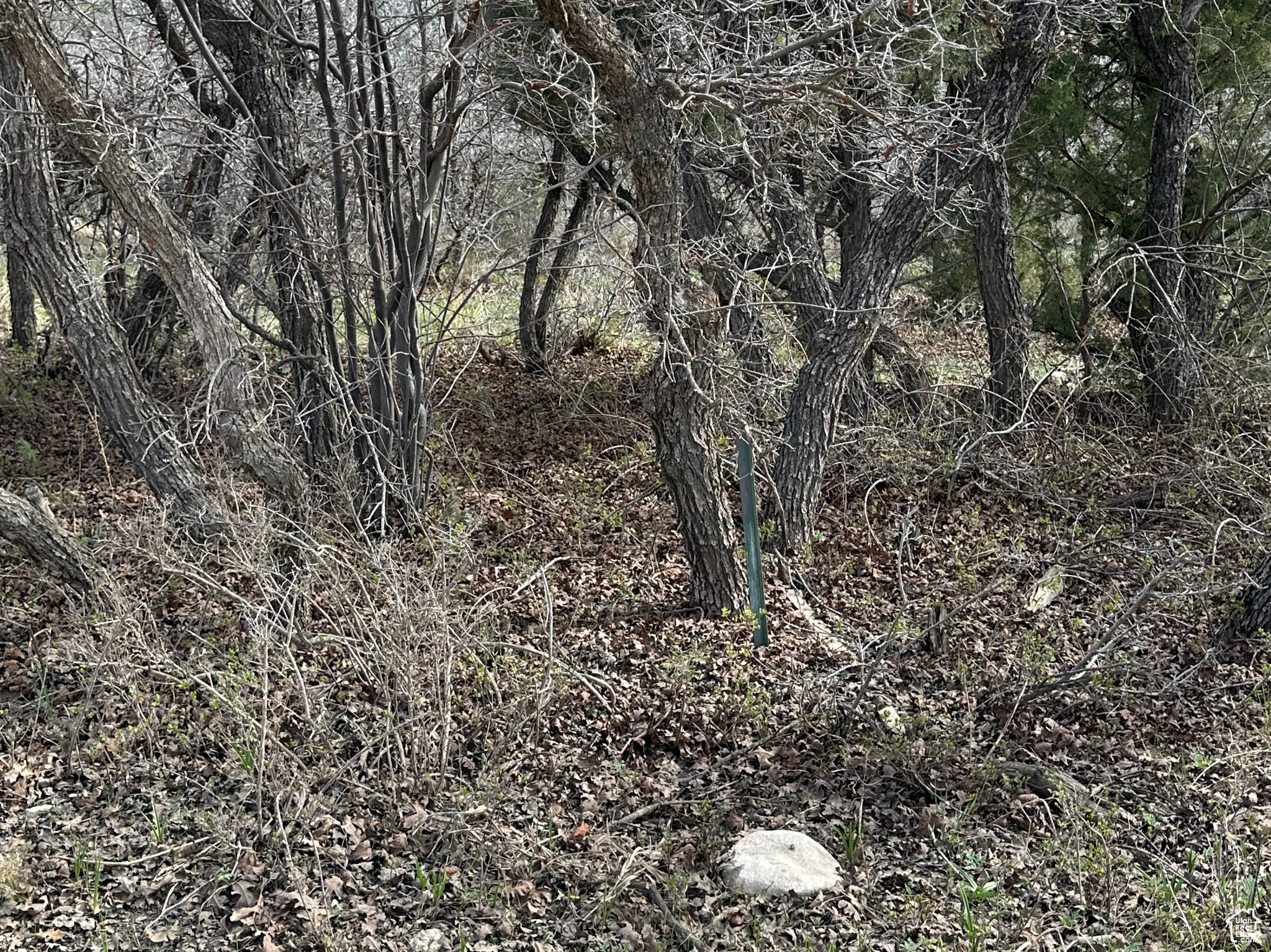 WHISPERING PINES SUBD PHASE 3 - Land
