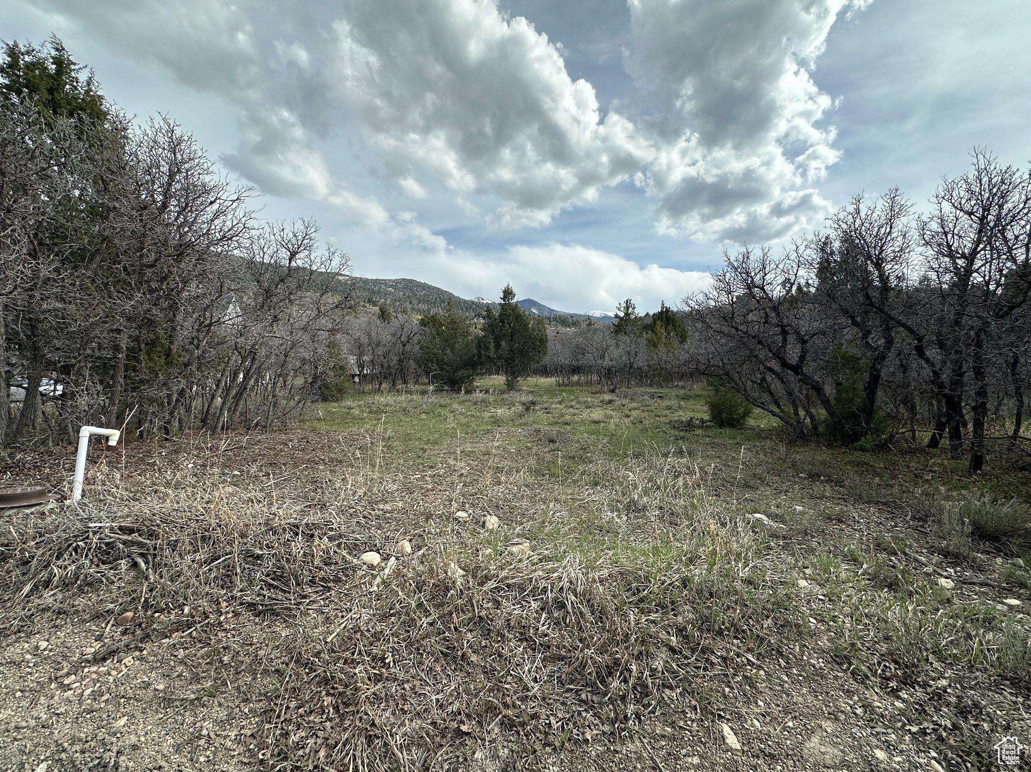 WHISPERING PINES SUBD PHASE 3 - Land